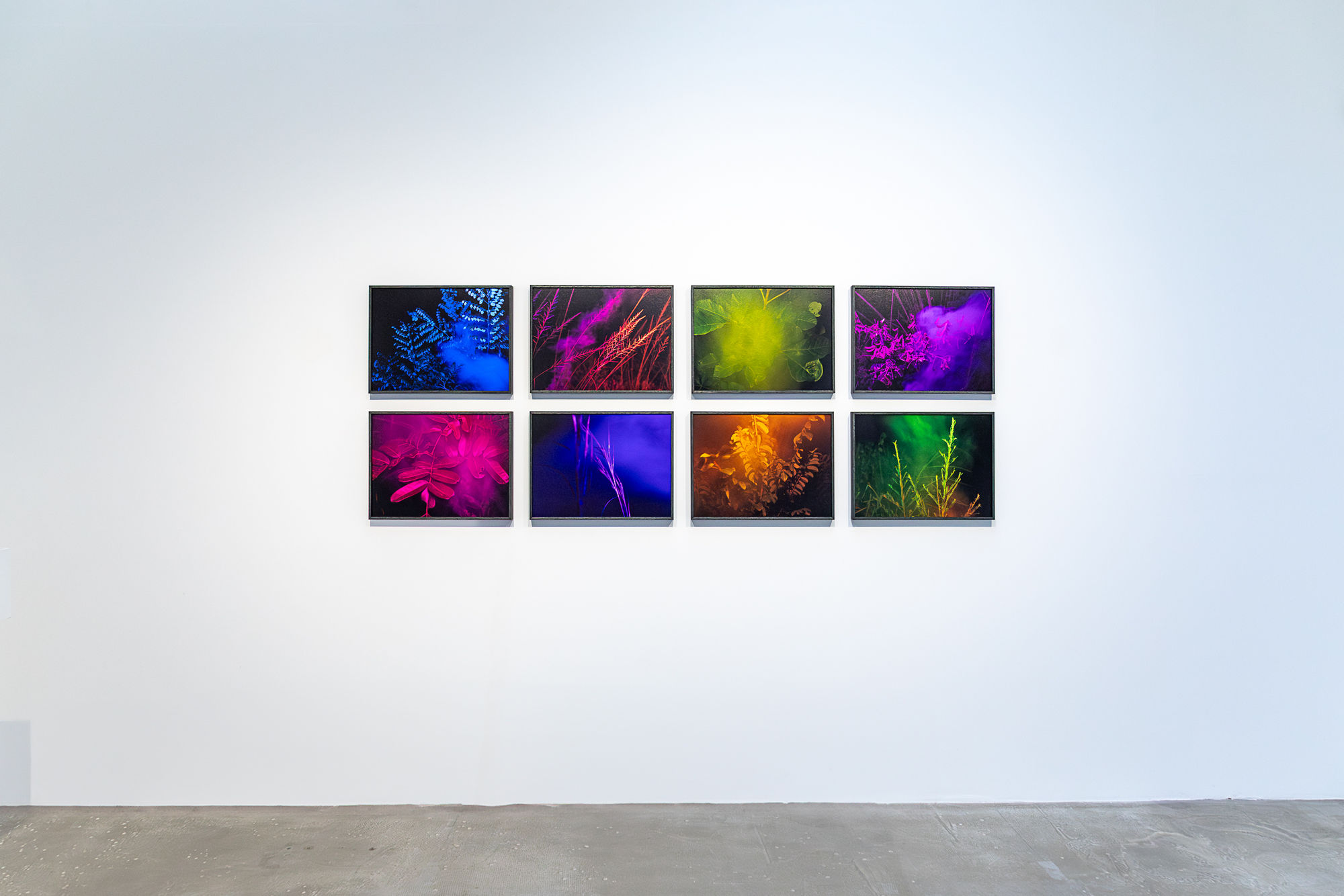 La lenteur des règnes