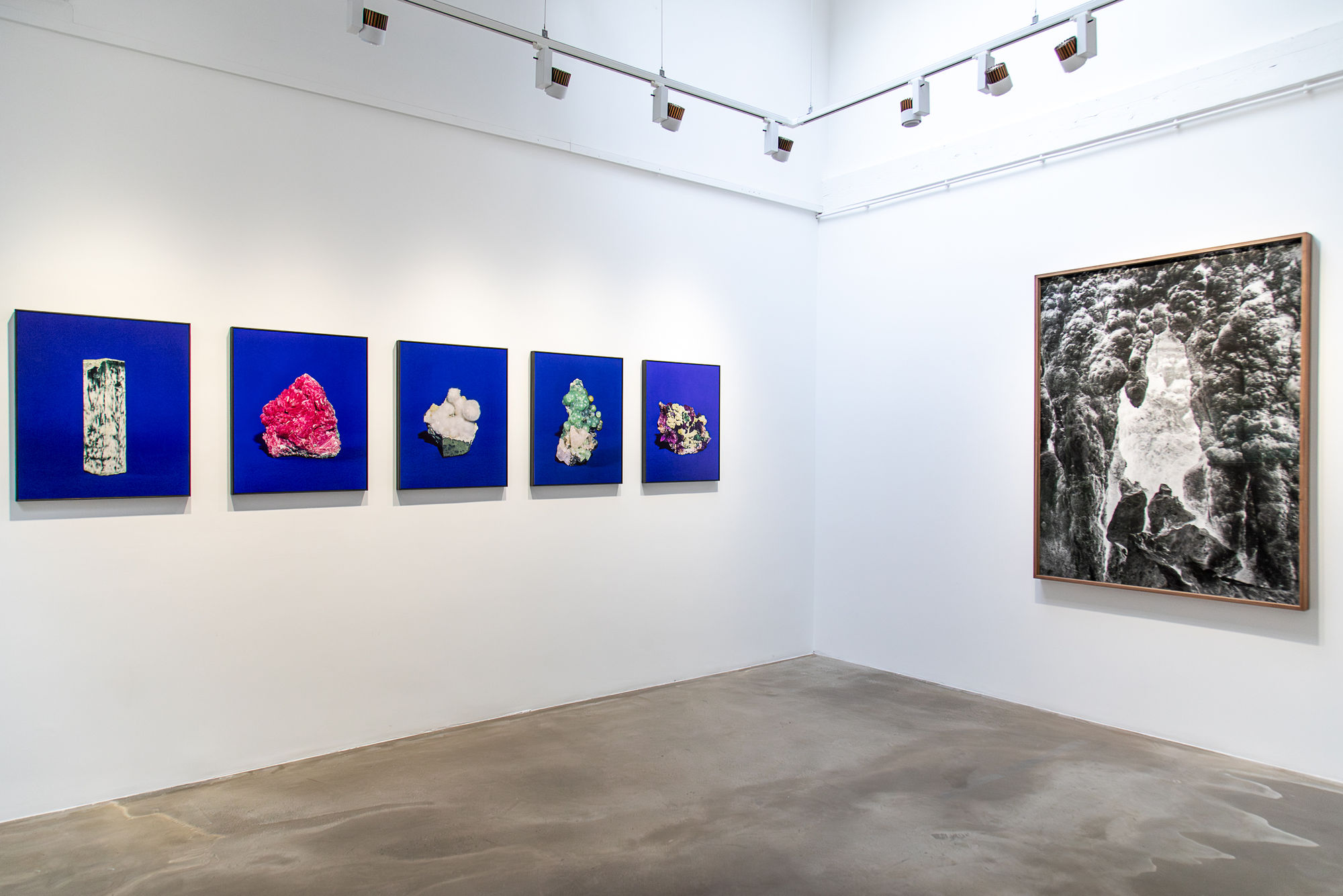 La lenteur des règnes