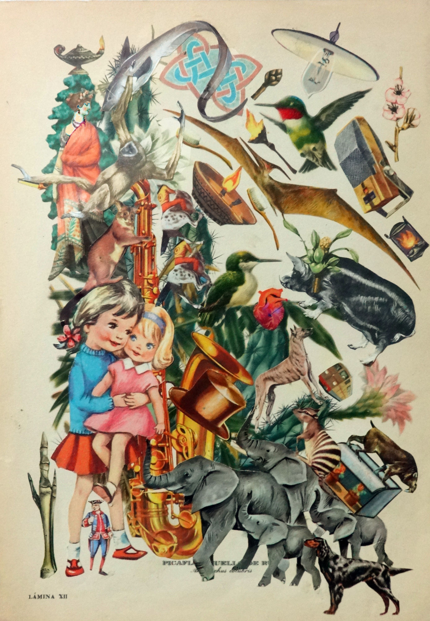 Pájaros de amuchástegui