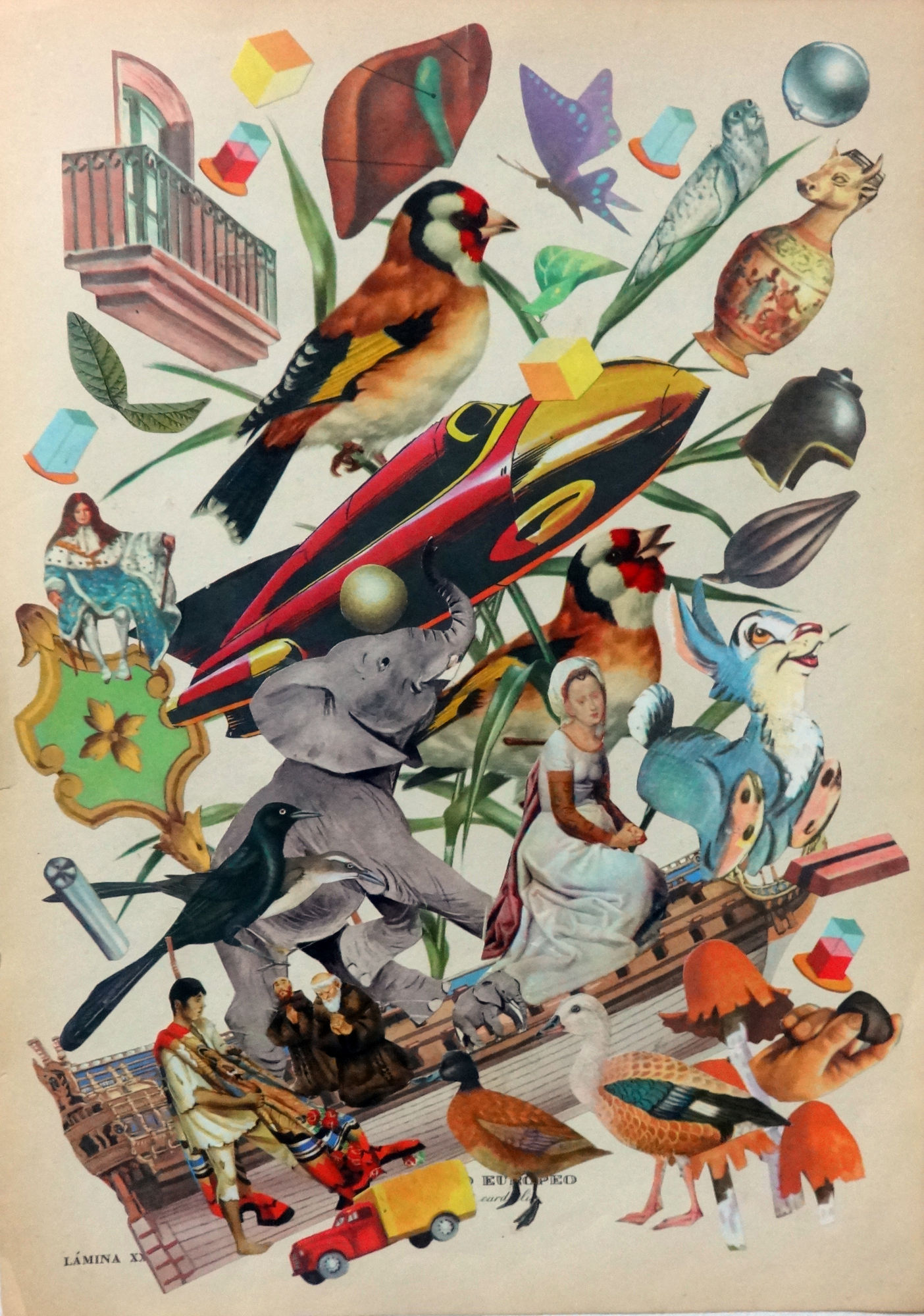 Pájaros de amuchástegui