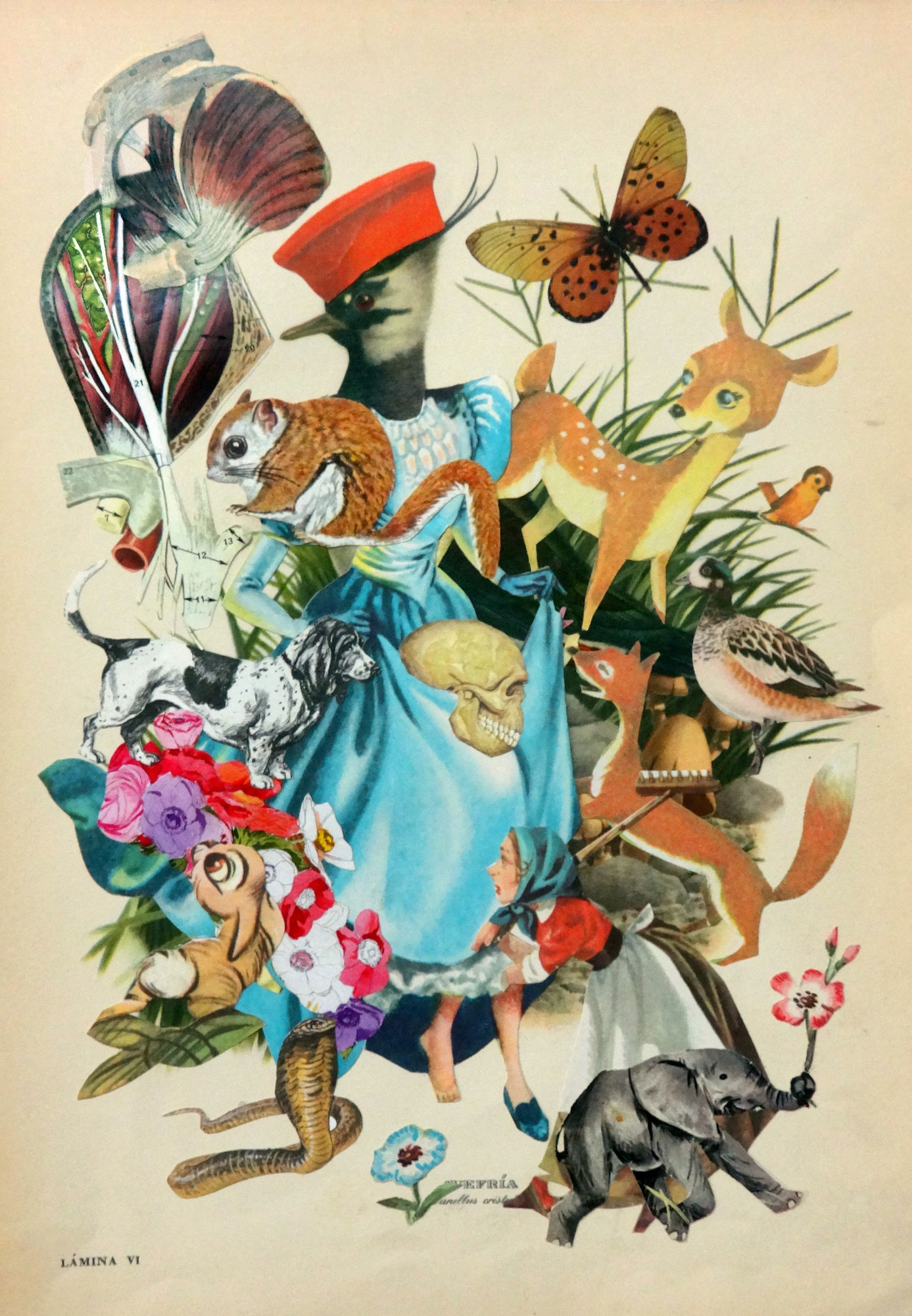 Pájaros de amuchástegui