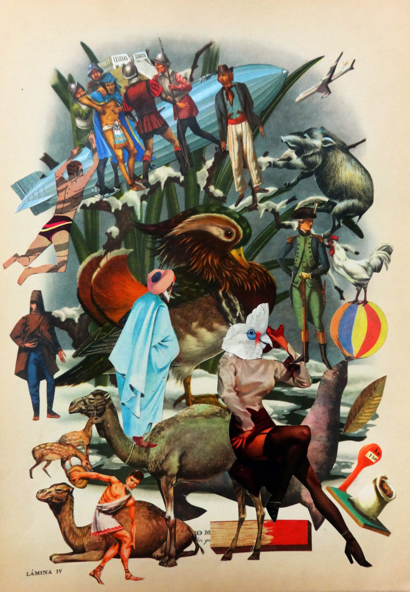 Pájaros de amuchástegui