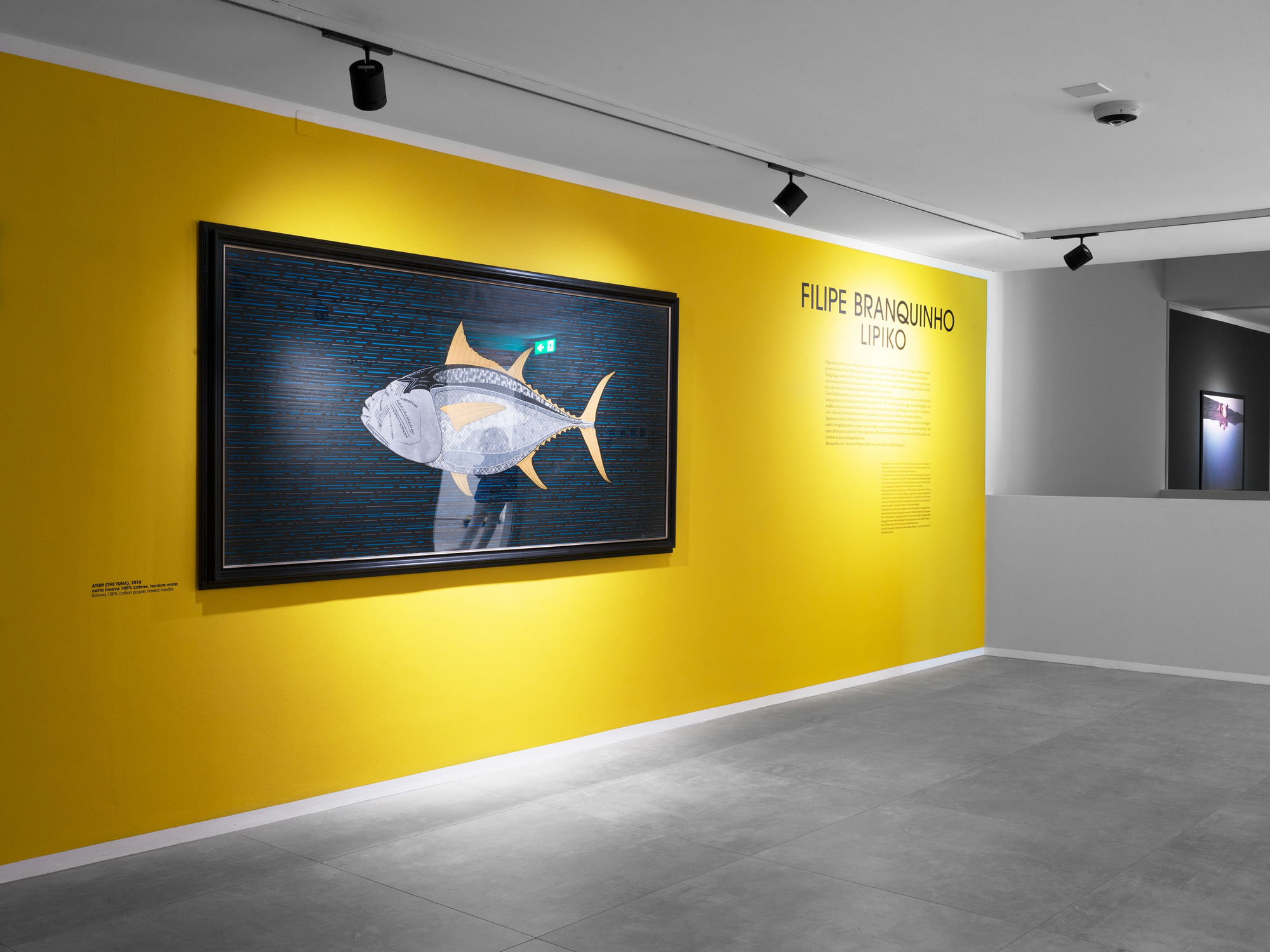 Filipe Branquinho: LIPIKO