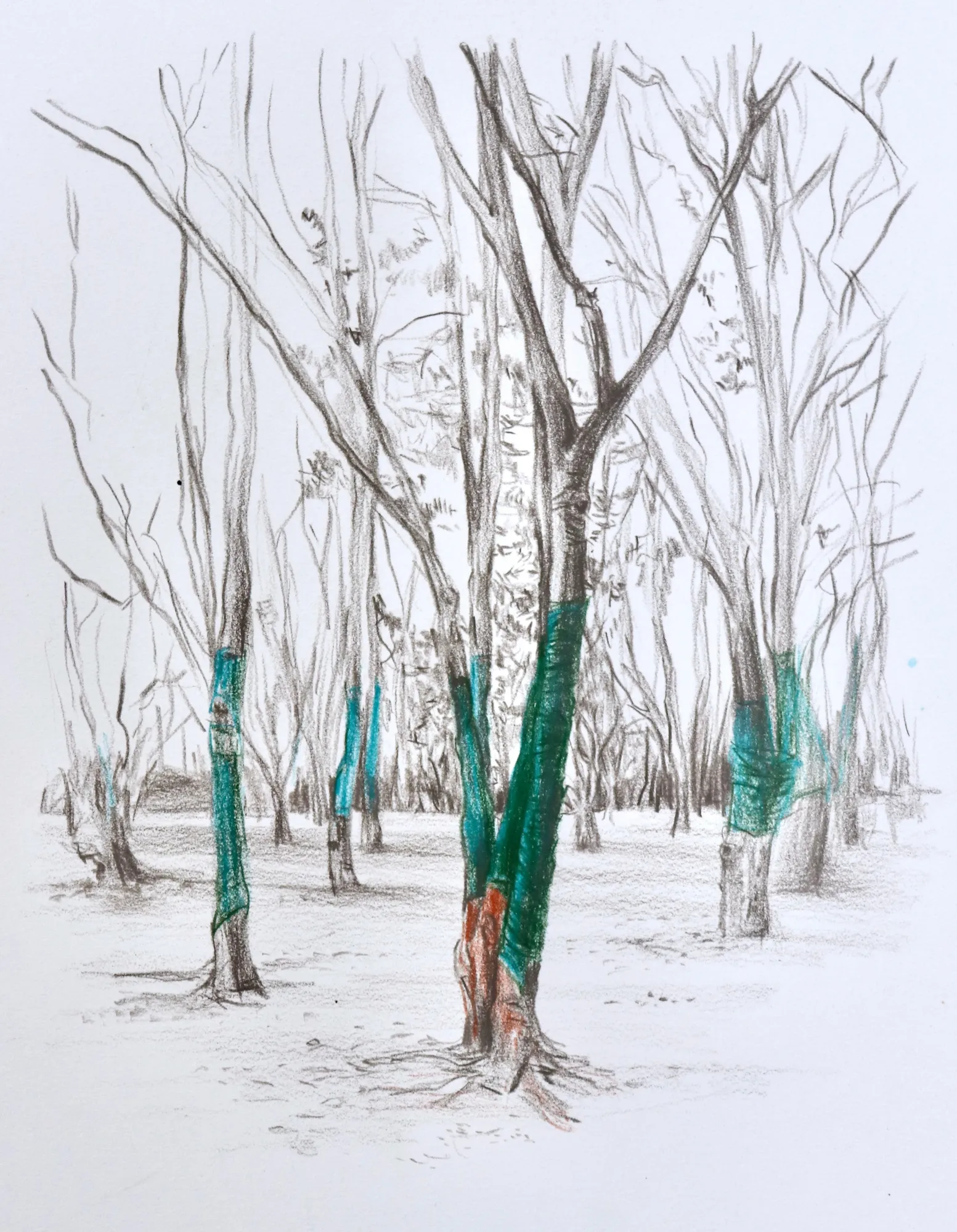 2022 Artist-in-Residence Exhibition