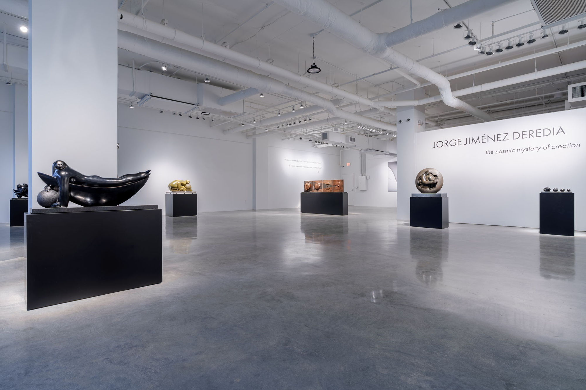 Deredia and The Cosmic Mystery of Creation