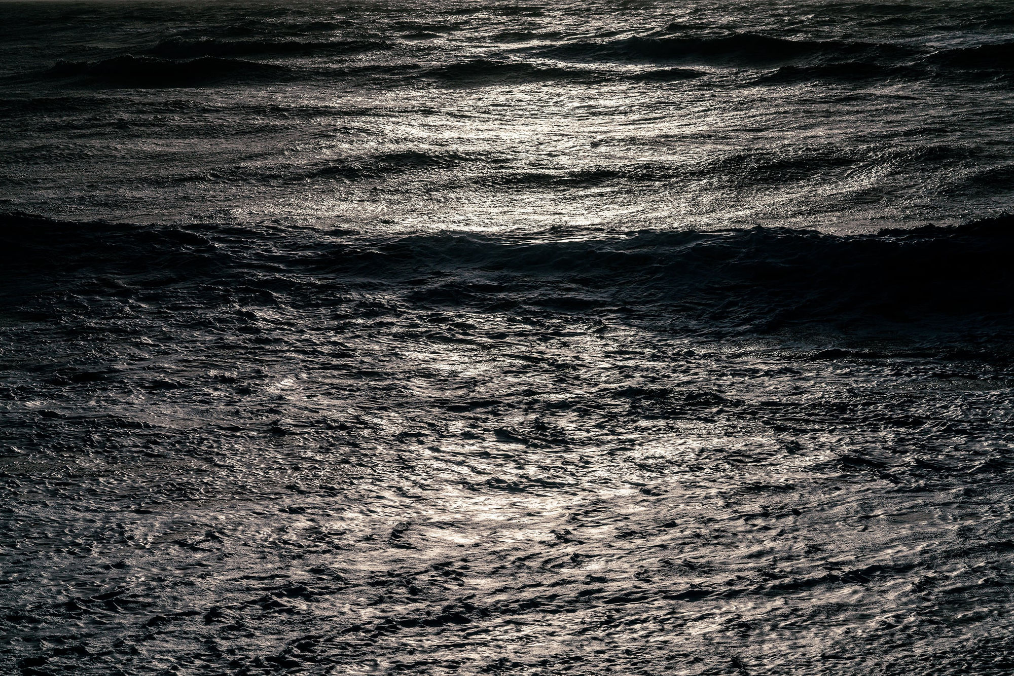 MONOCHROME: A Study in Light and Shadow