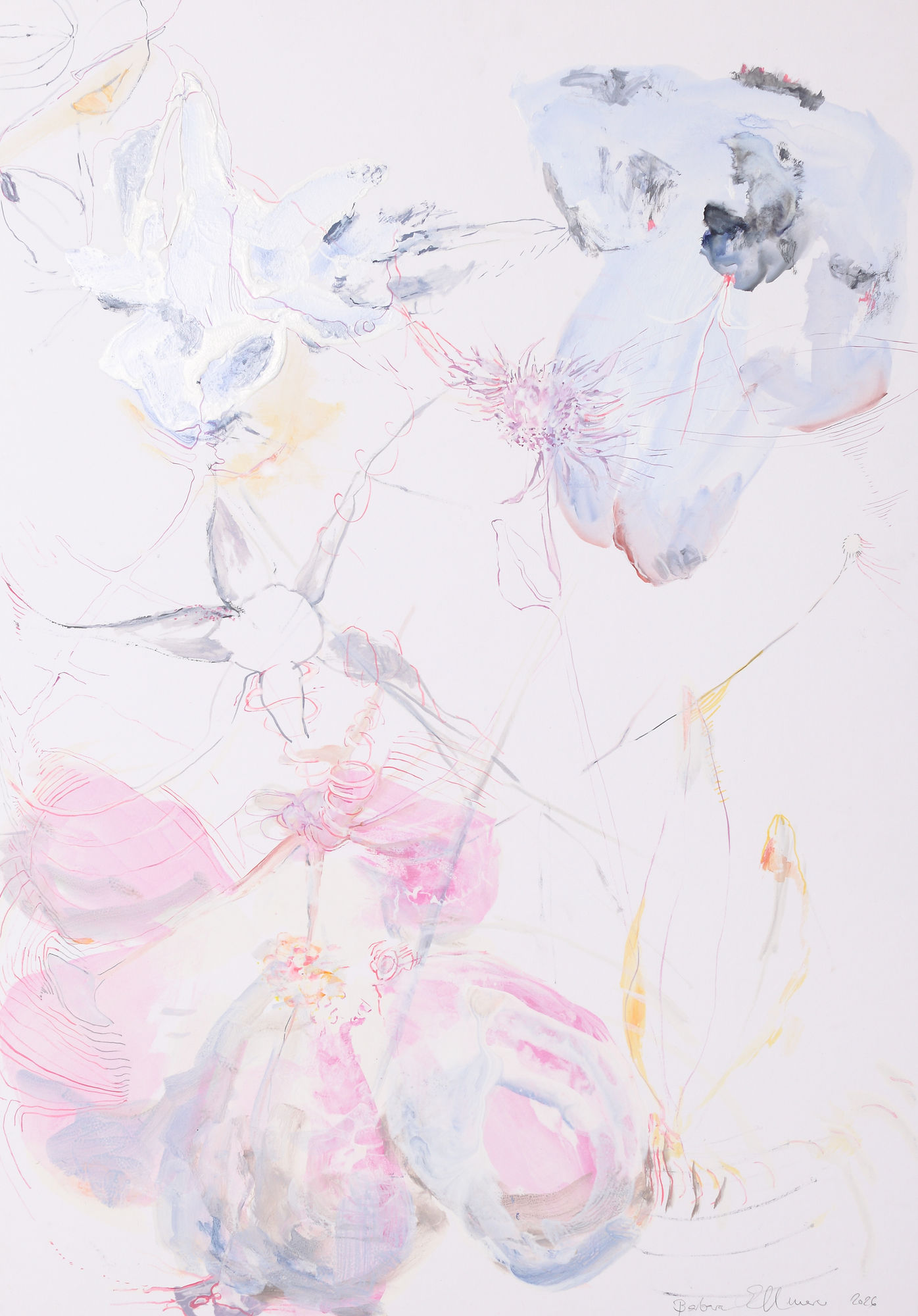 Barbara Ellmerer, Auxin 7, 2026