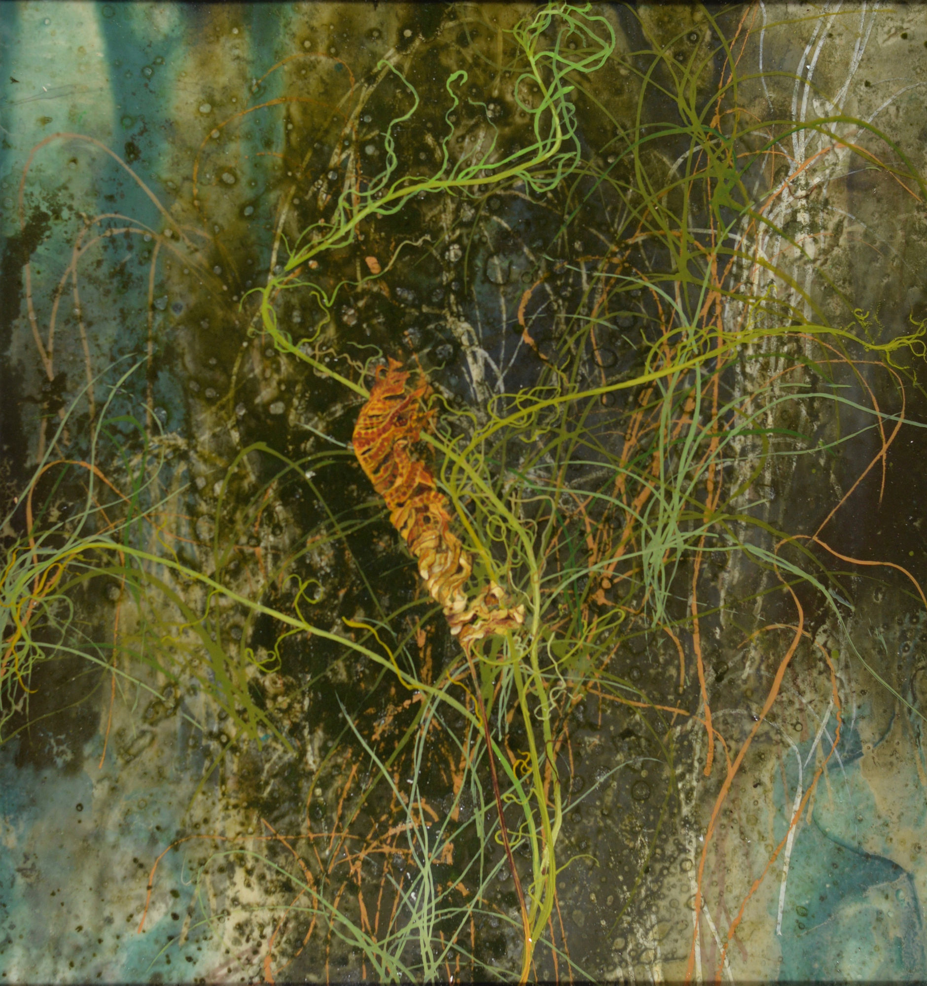 Michael Porter, Coastal Path 10-08-11