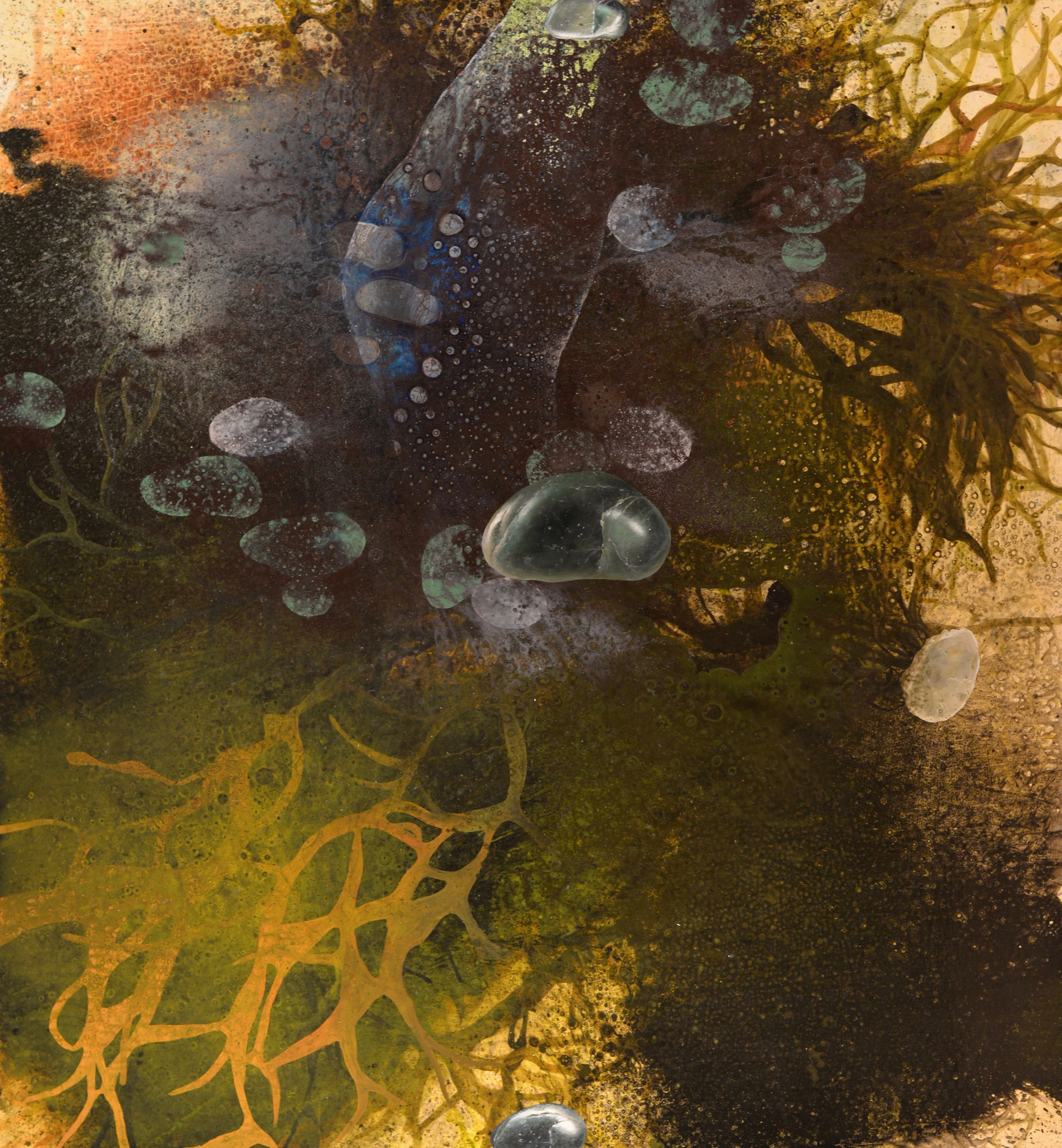 Michael Porter, Seashore Series 02-12-14