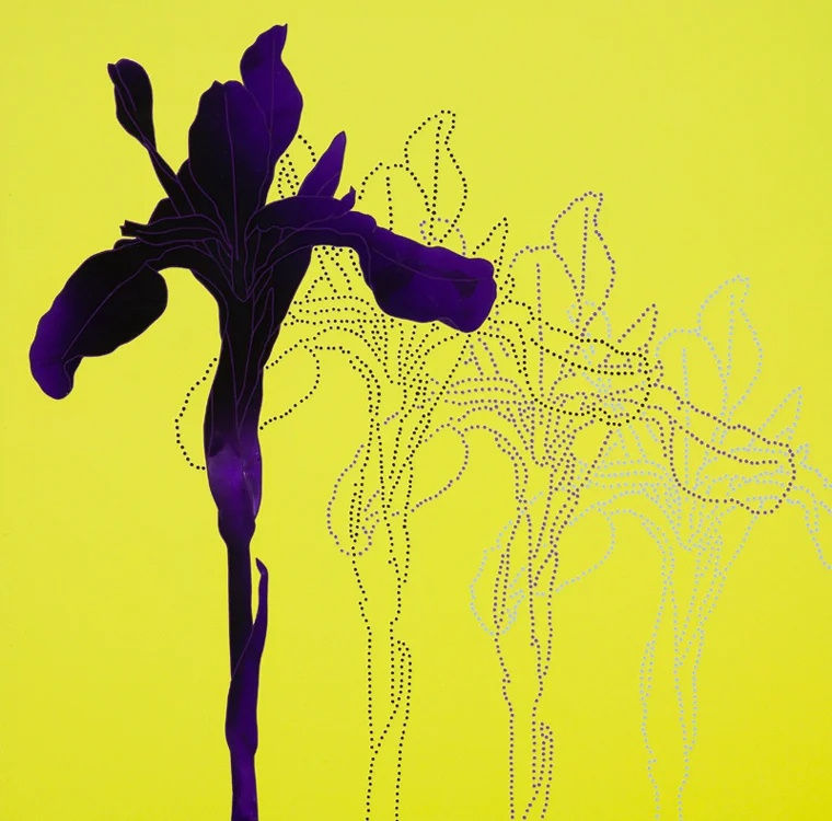 이지은 : 꽃을 그리다 아까와는 다른 시간을 위하여