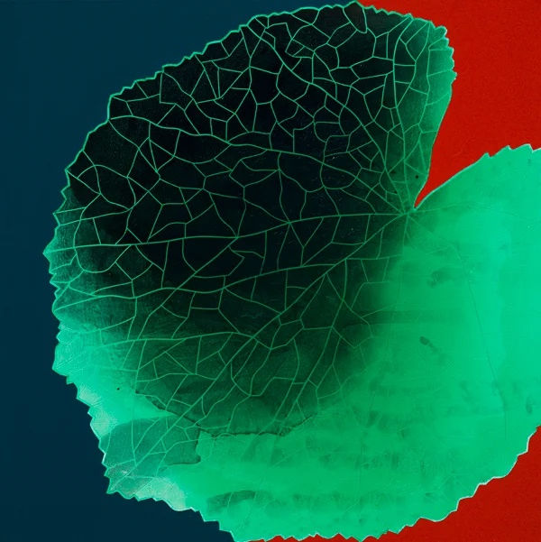 이지은 : 꽃을 그리다 아까와는 다른 시간을 위하여