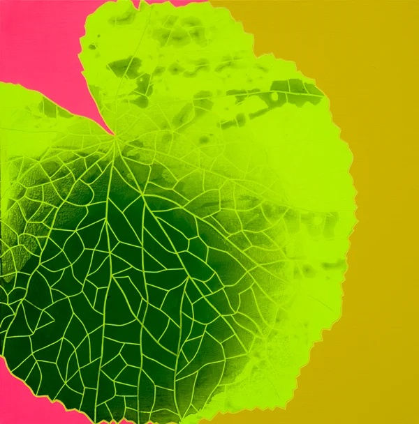 이지은 : 꽃을 그리다 아까와는 다른 시간을 위하여