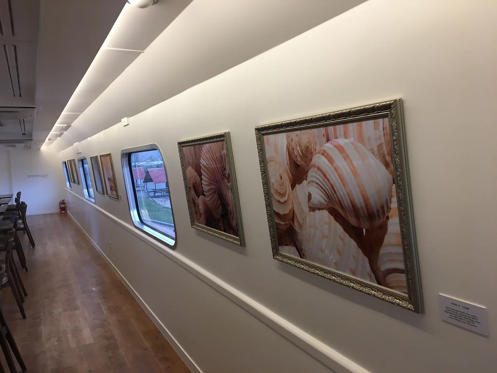 국립과천과학관 Sci-Art picture Museum (SAM)