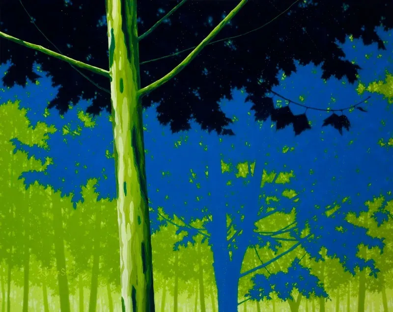 주태석 : Nature. Image