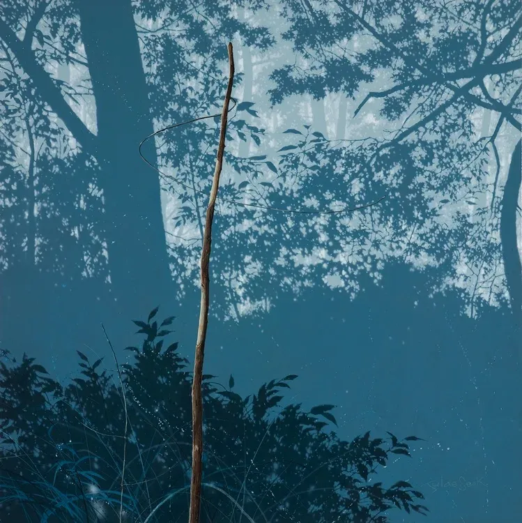 주태석 : Nature. Image