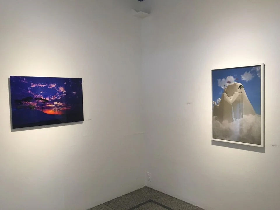 임택 : 치유의 풍경-옮겨진산수유람기