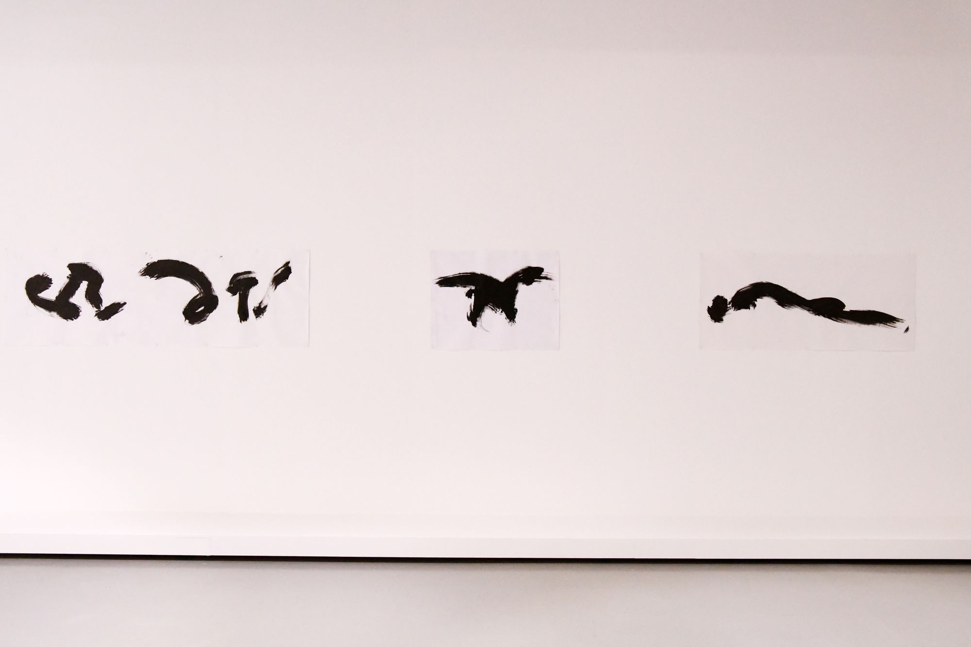 © photo Cathy Christiaen / Ville de Dunkerque