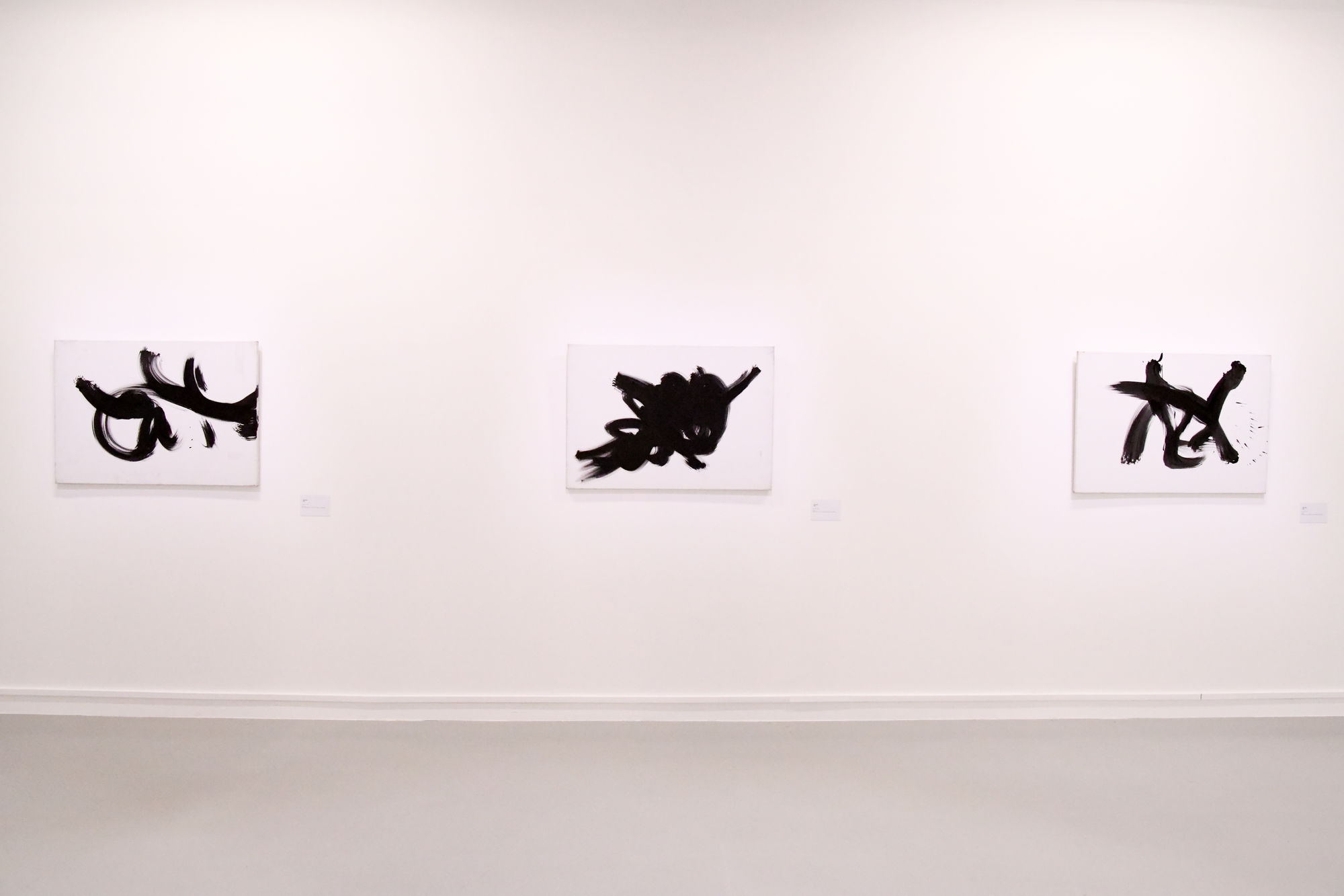 © photo Cathy Christiaen / Ville de Dunkerque