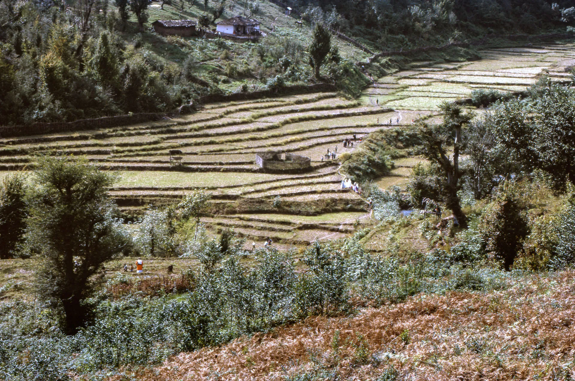 IRAN, 1966 BAM1966032K059(W00129)