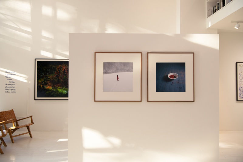 EAT FLOWERS – CIG HARVEY