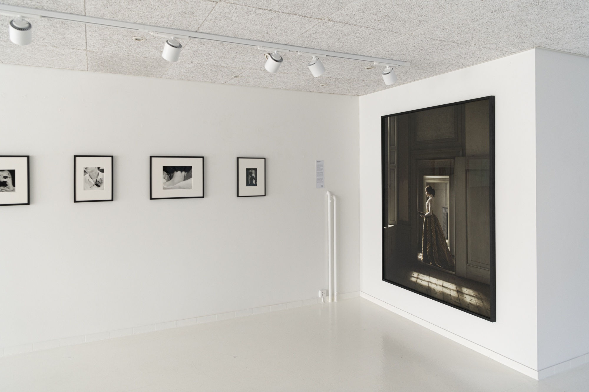 TERRA INCOGNITA – ILONA LANGBROEK