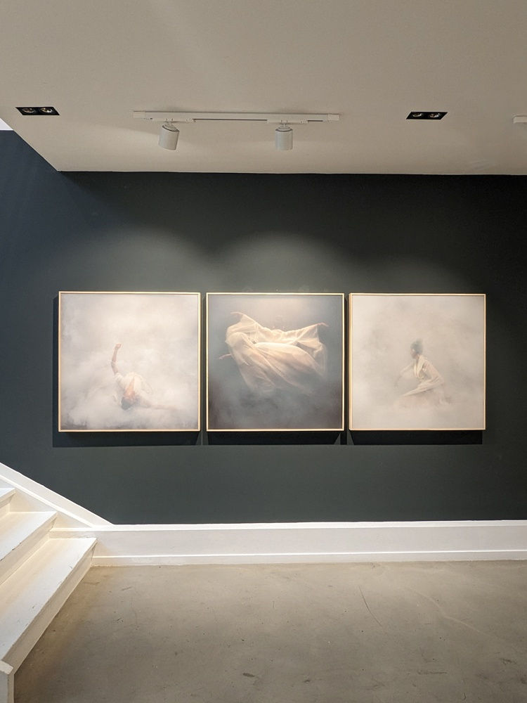 MOTION - FAASSEN, BASSMAN & GROEBLI