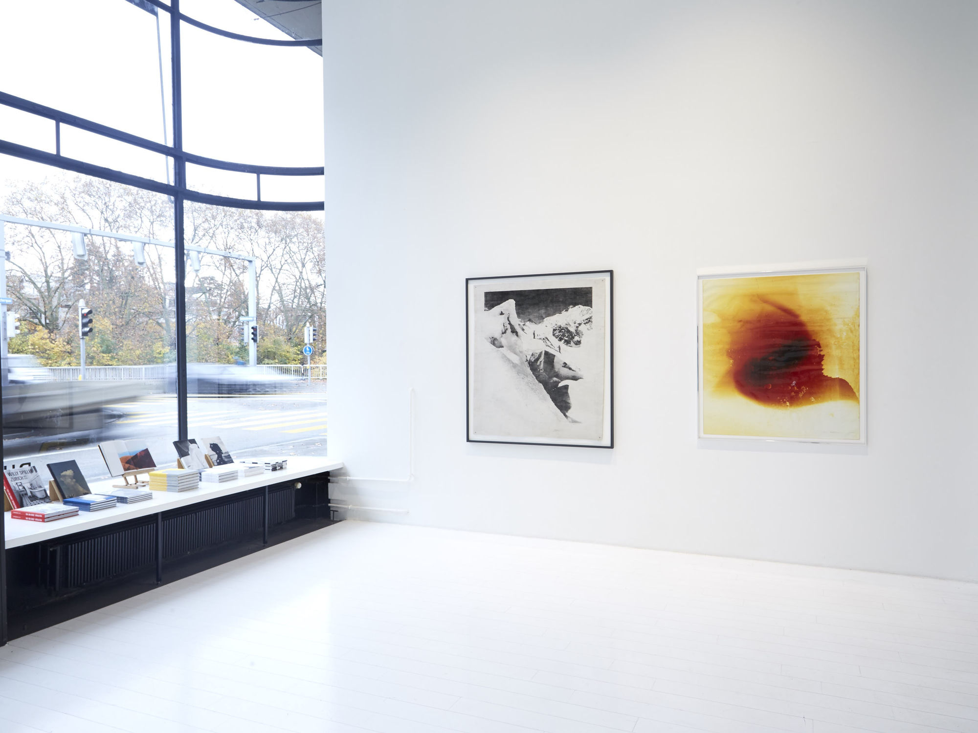 A BRIEF CRACK OF LIGHT - DOUGLAS MANDRY