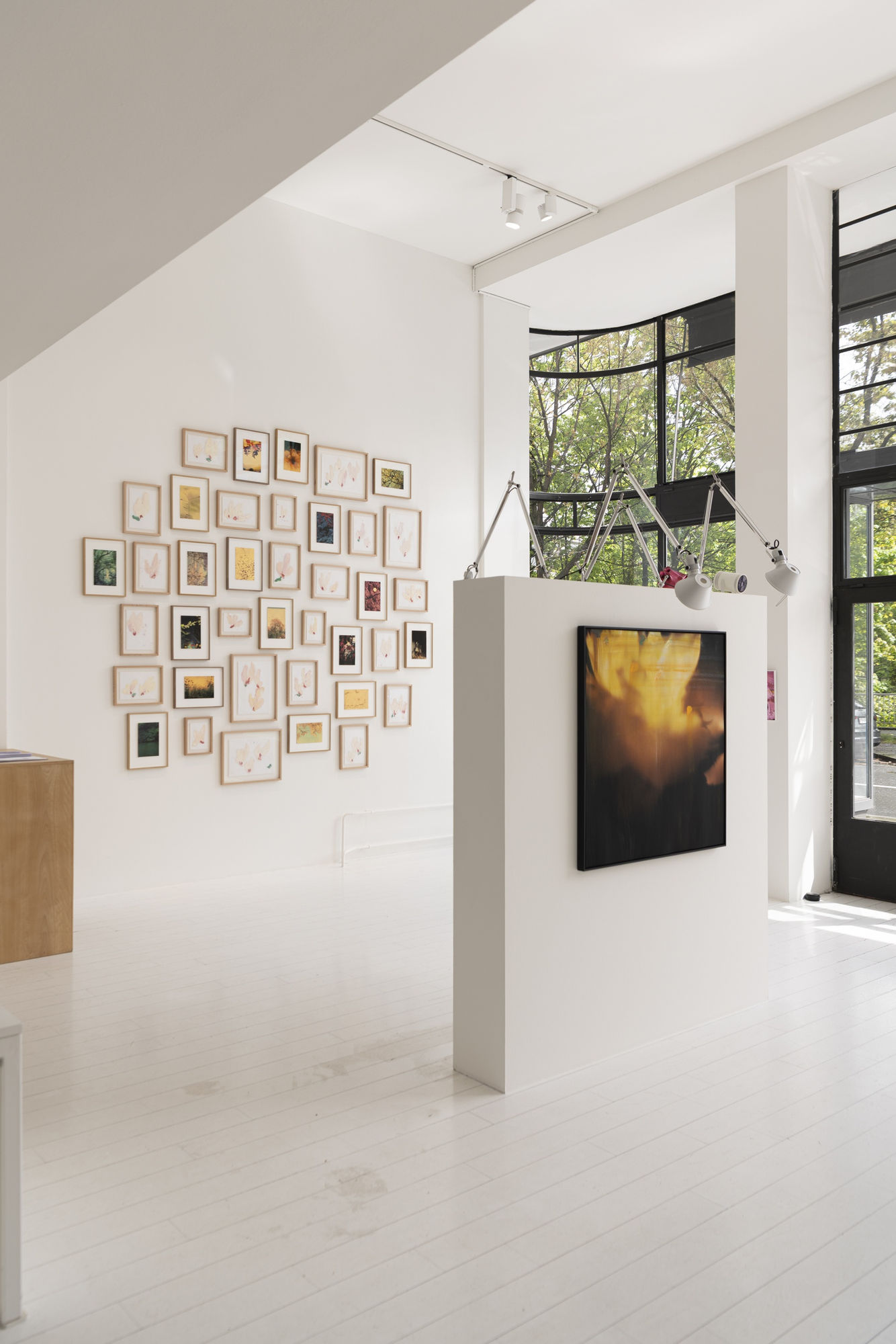 BLOOMING – THE ARTIST ARNE QUINZE IN DIALOGUE WITH 12 PHOTOGRAPHERS