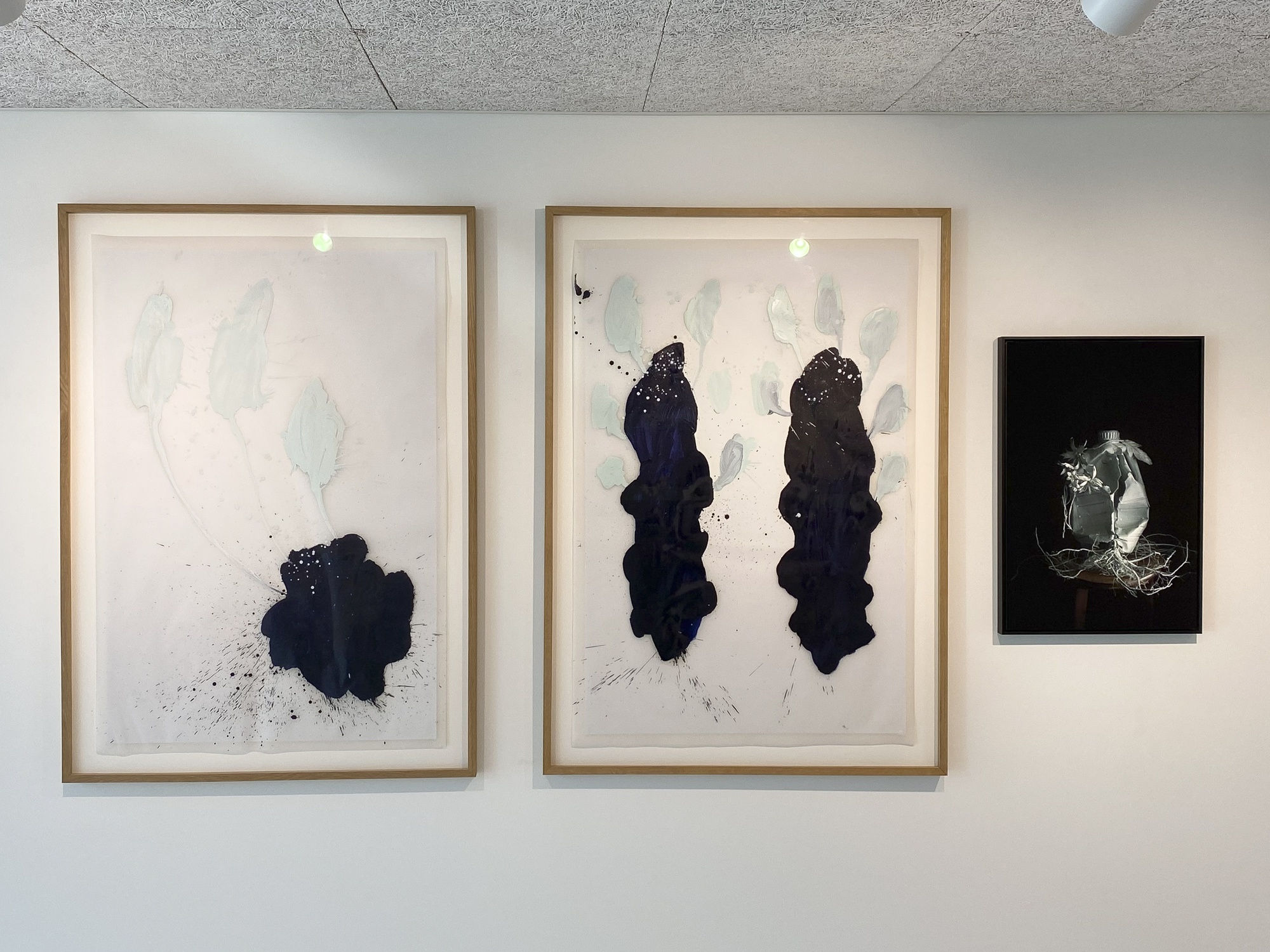 BLOOMING – THE ARTIST ARNE QUINZE IN DIALOGUE WITH 12 PHOTOGRAPHERS