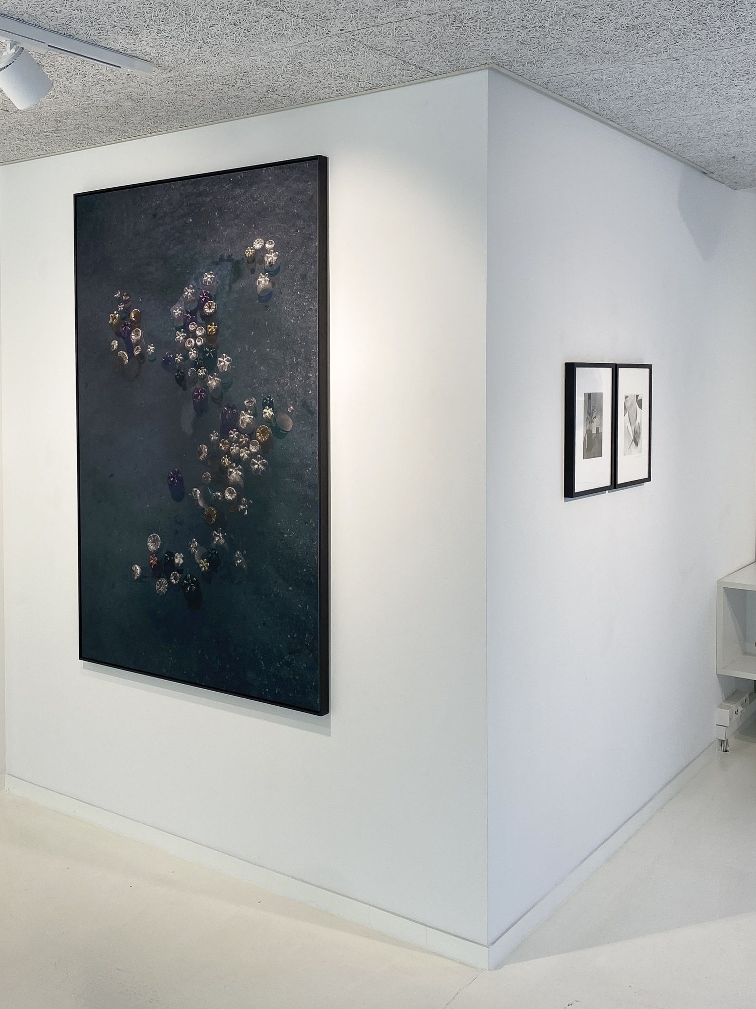 BLOOMING – THE ARTIST ARNE QUINZE IN DIALOGUE WITH 12 PHOTOGRAPHERS