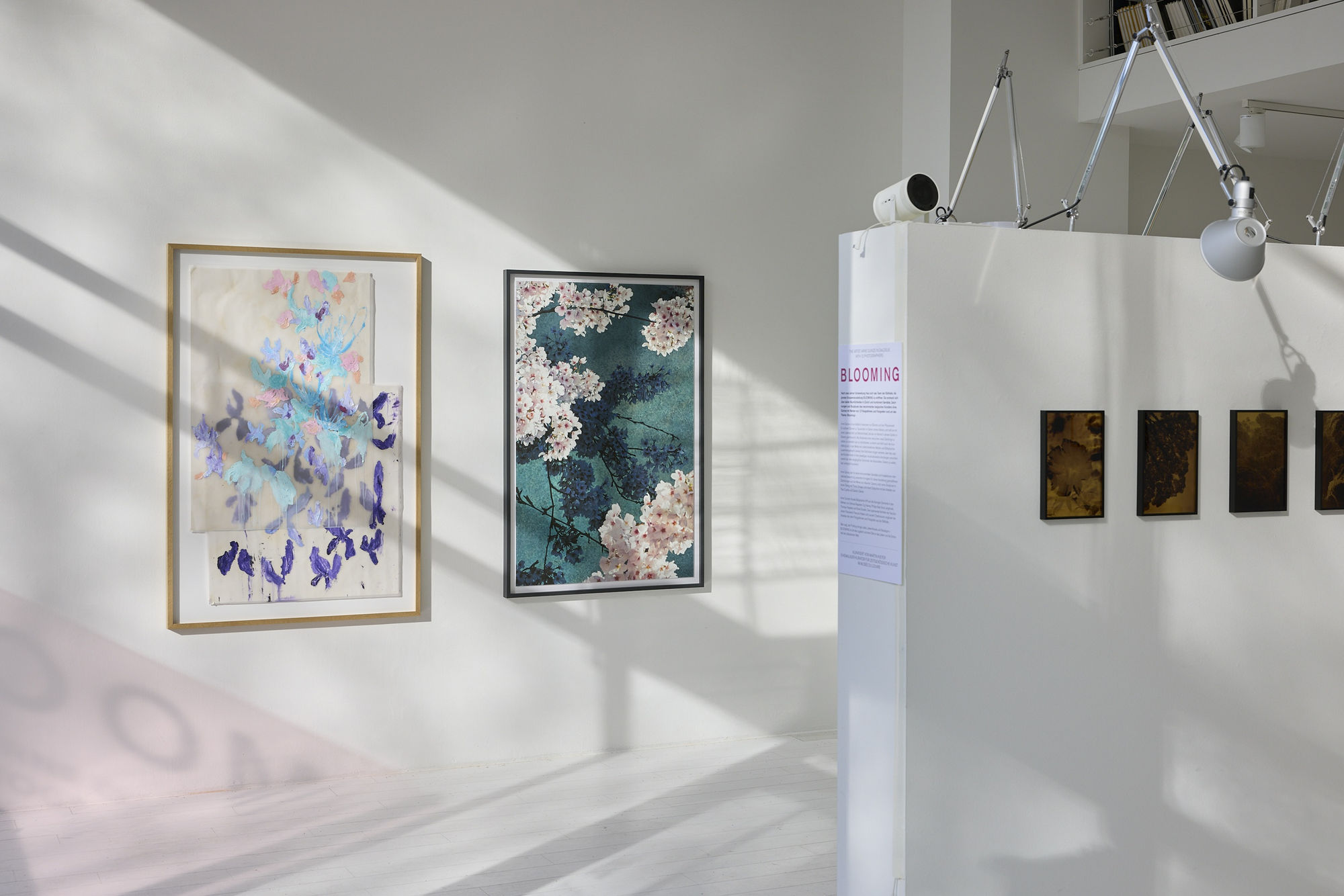 BLOOMING – THE ARTIST ARNE QUINZE IN DIALOGUE WITH 12 PHOTOGRAPHERS