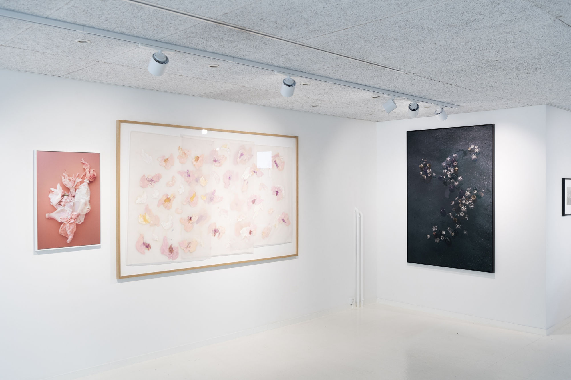 BLOOMING – THE ARTIST ARNE QUINZE IN DIALOGUE WITH 12 PHOTOGRAPHERS