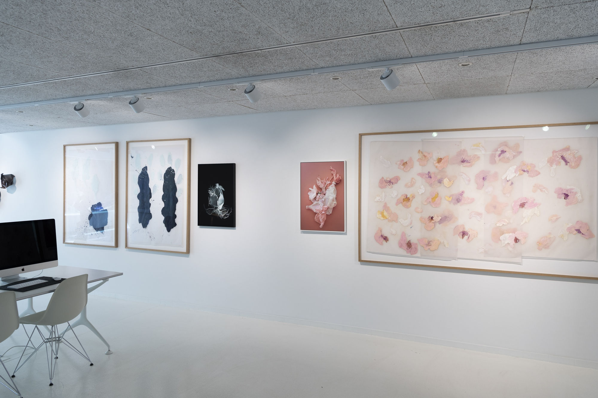 BLOOMING – THE ARTIST ARNE QUINZE IN DIALOGUE WITH 12 PHOTOGRAPHERS