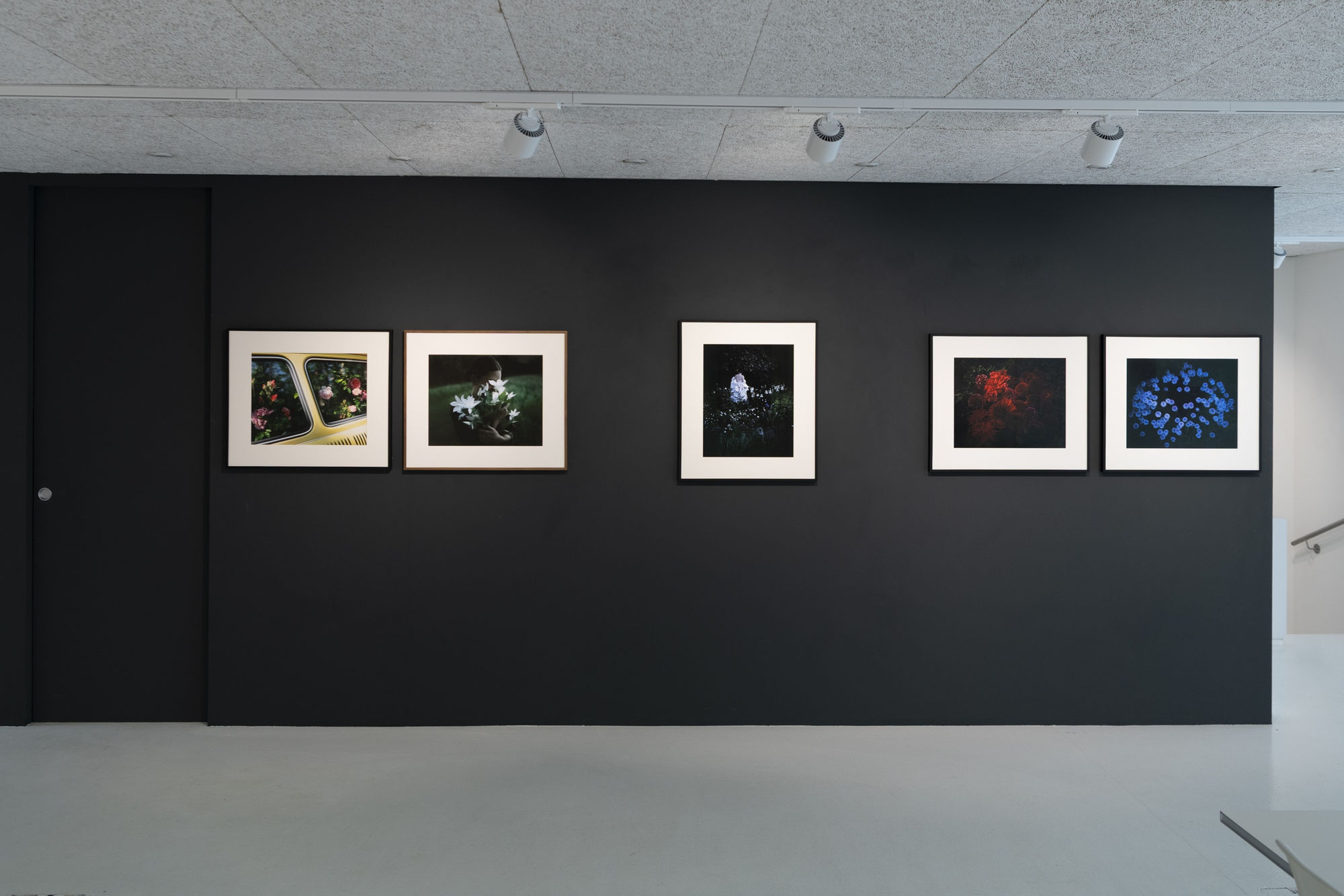 BLOOMING – THE ARTIST ARNE QUINZE IN DIALOGUE WITH 12 PHOTOGRAPHERS