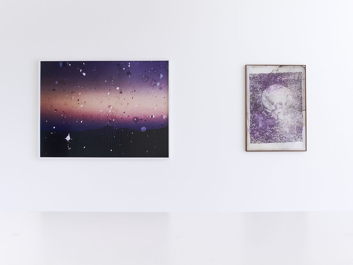 DOUGLAS MANDRY – LES ARCHIVES DE LA PLANÈTE