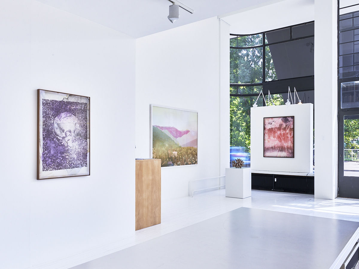 DOUGLAS MANDRY – LES ARCHIVES DE LA PLANÈTE