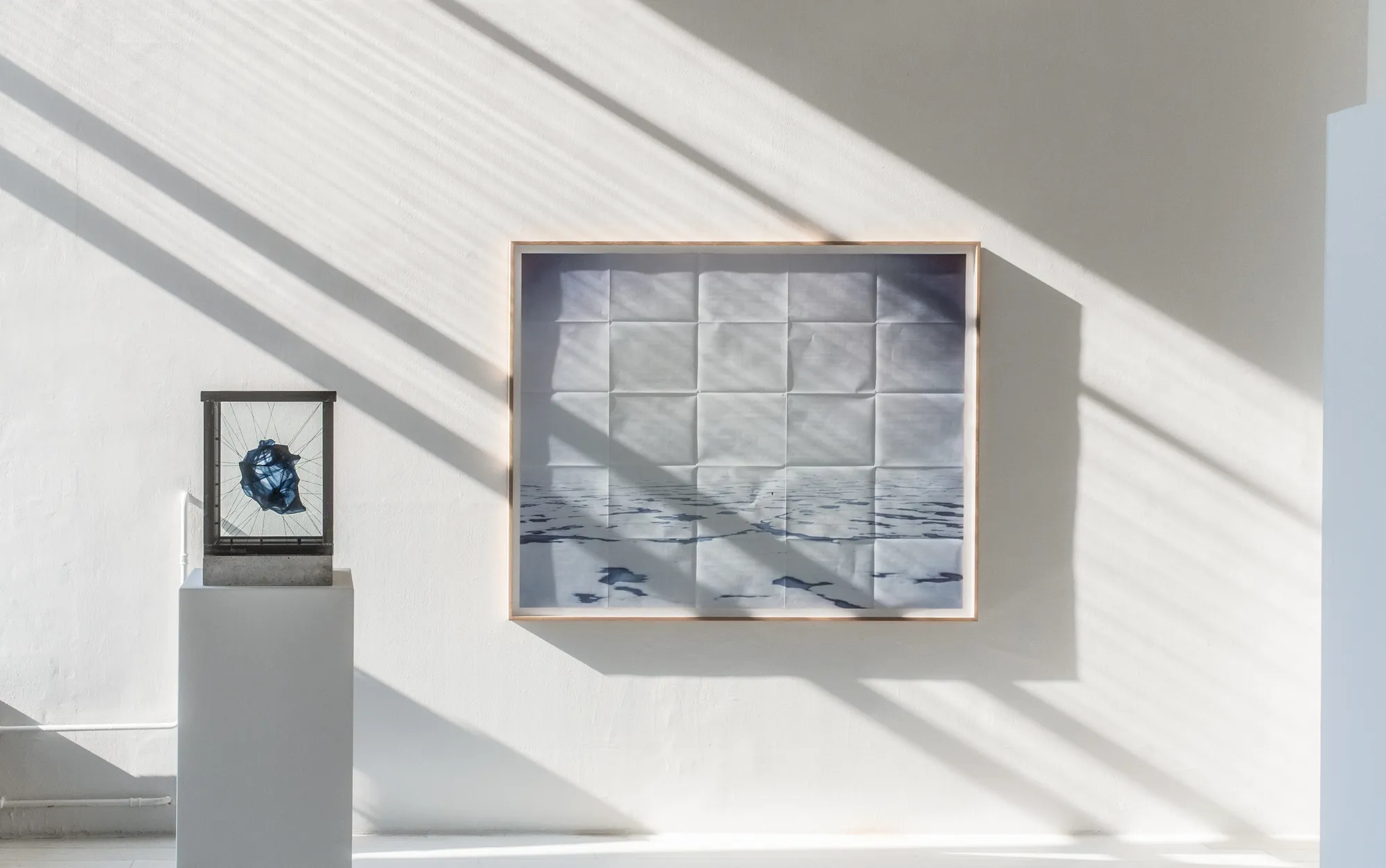 RE-NATURE: NOW OPEN IN ZURICH