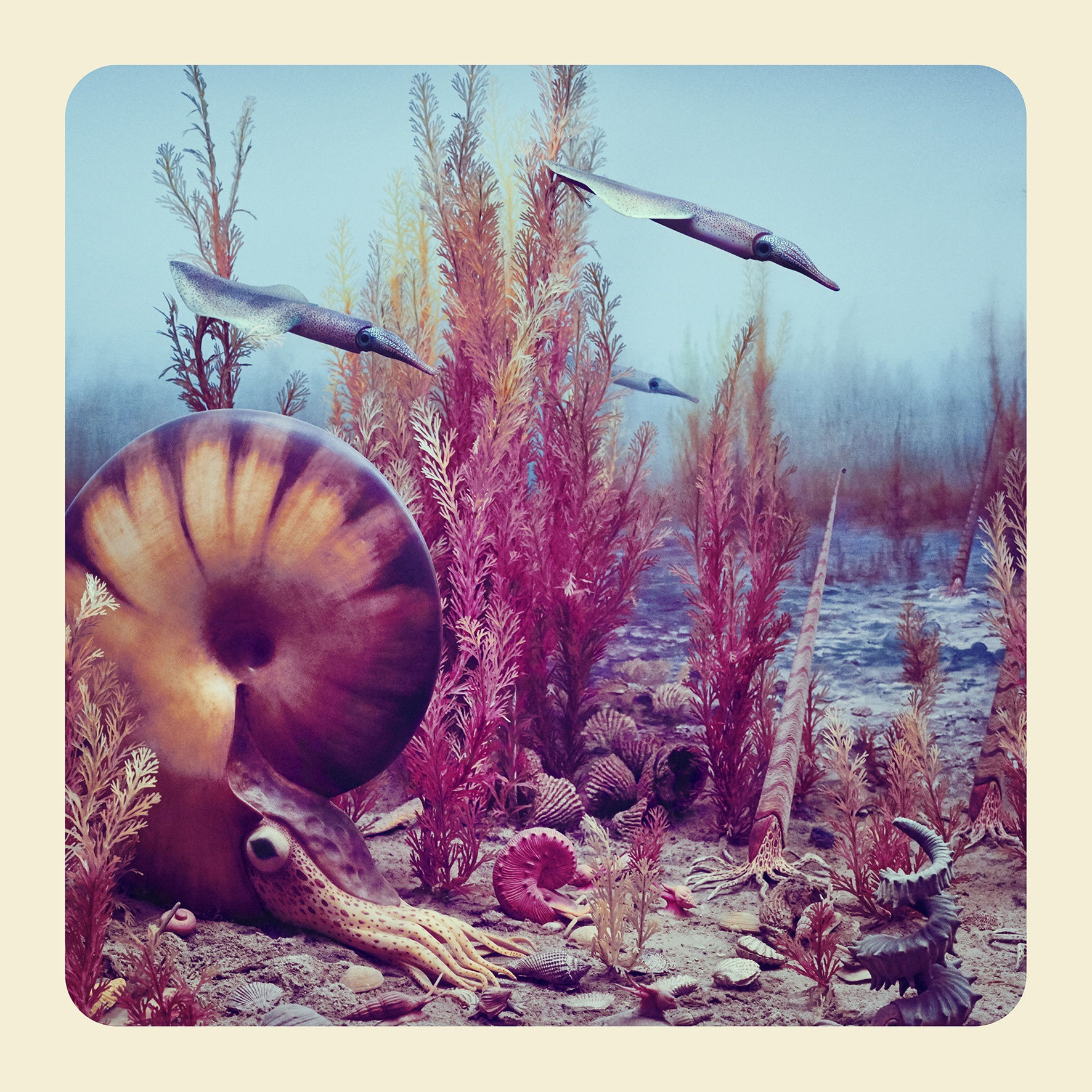 Jim Naughten, The Ammonite