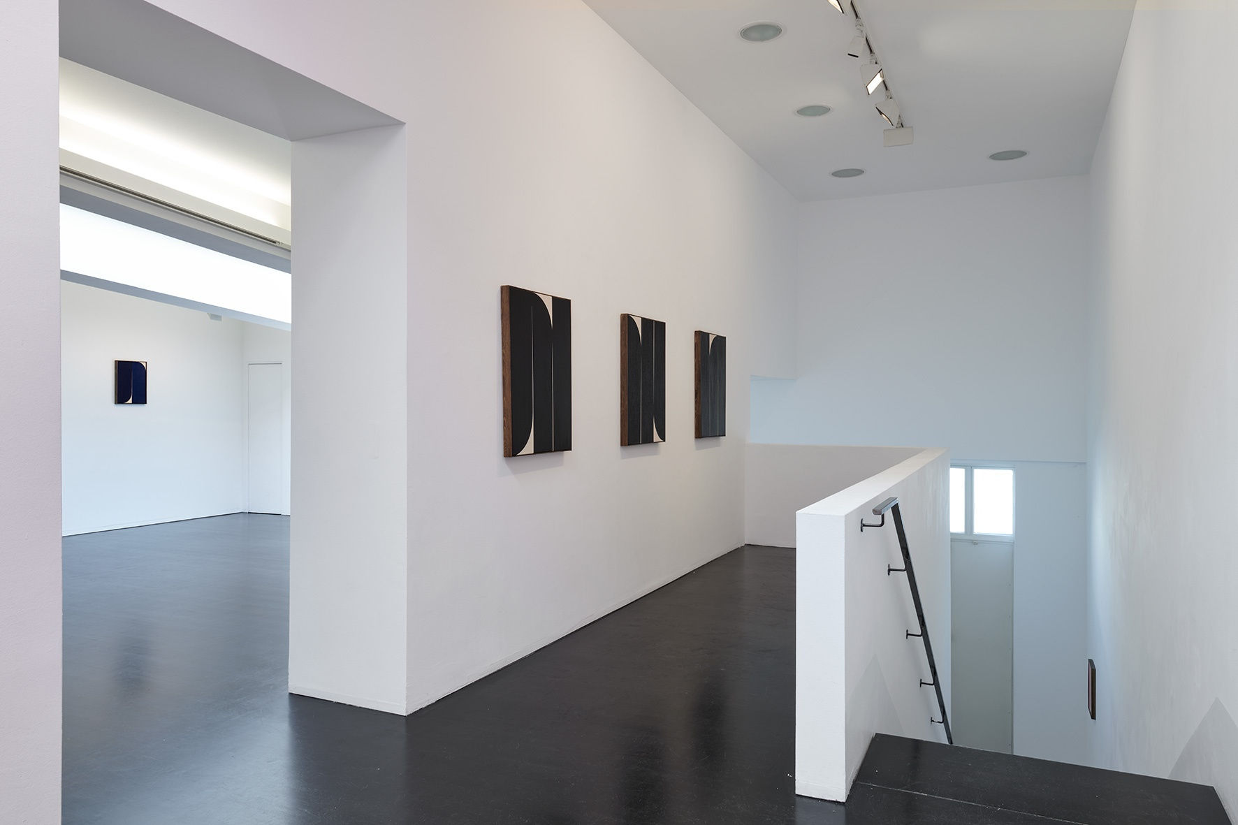 [COLOGNE] MAKING FLOWERS ALIVE