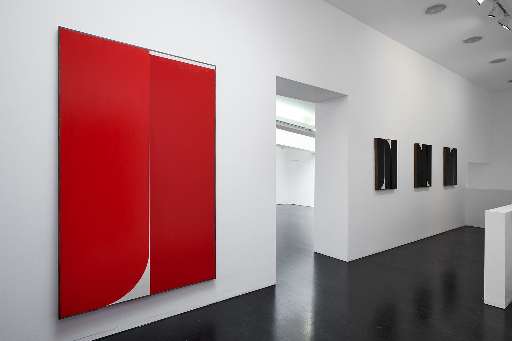 [COLOGNE] MAKING FLOWERS ALIVE