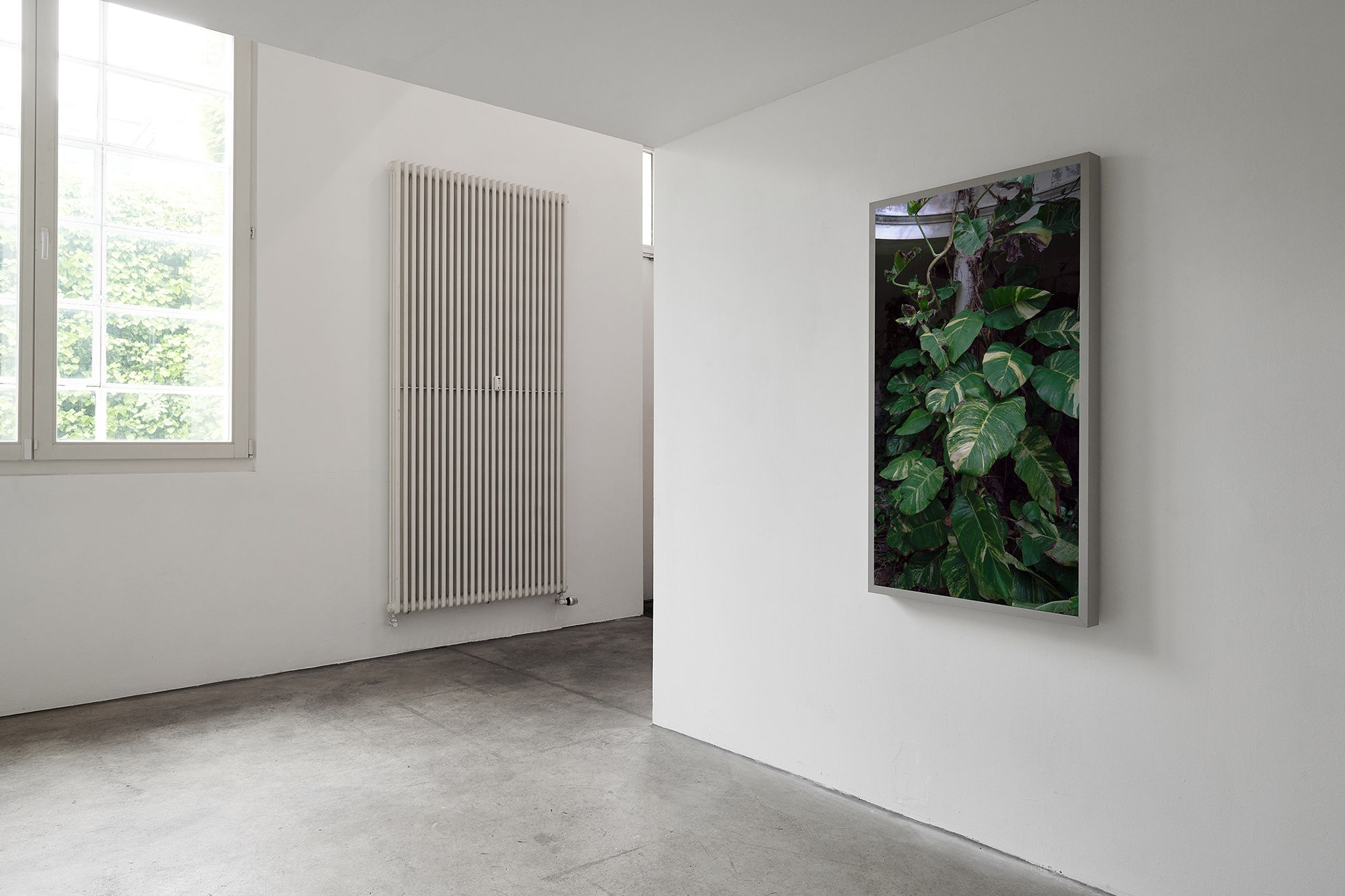 [COLOGNE] SHATTERED GLASS