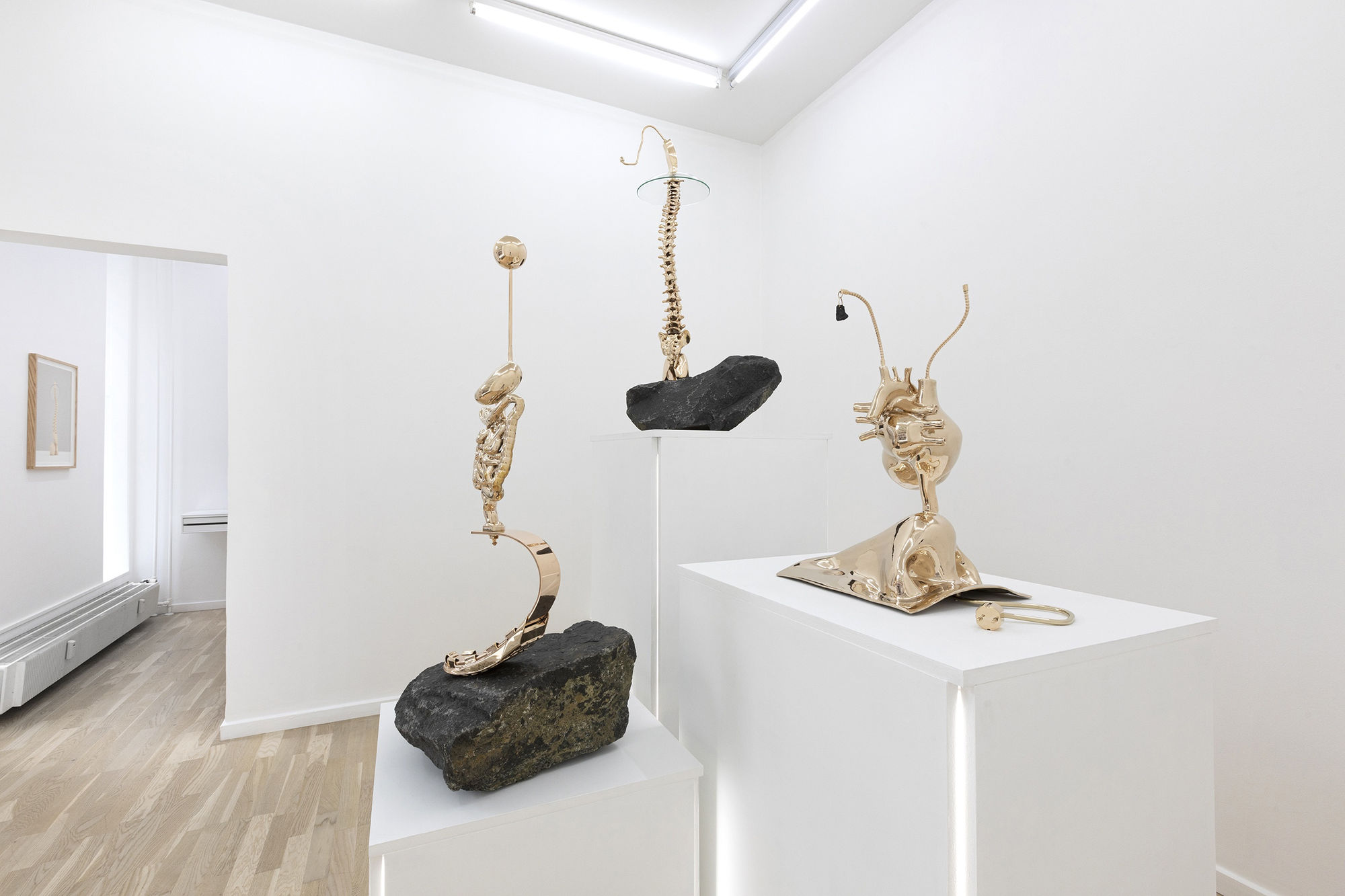 Stine Deja | HEAVY RENDER