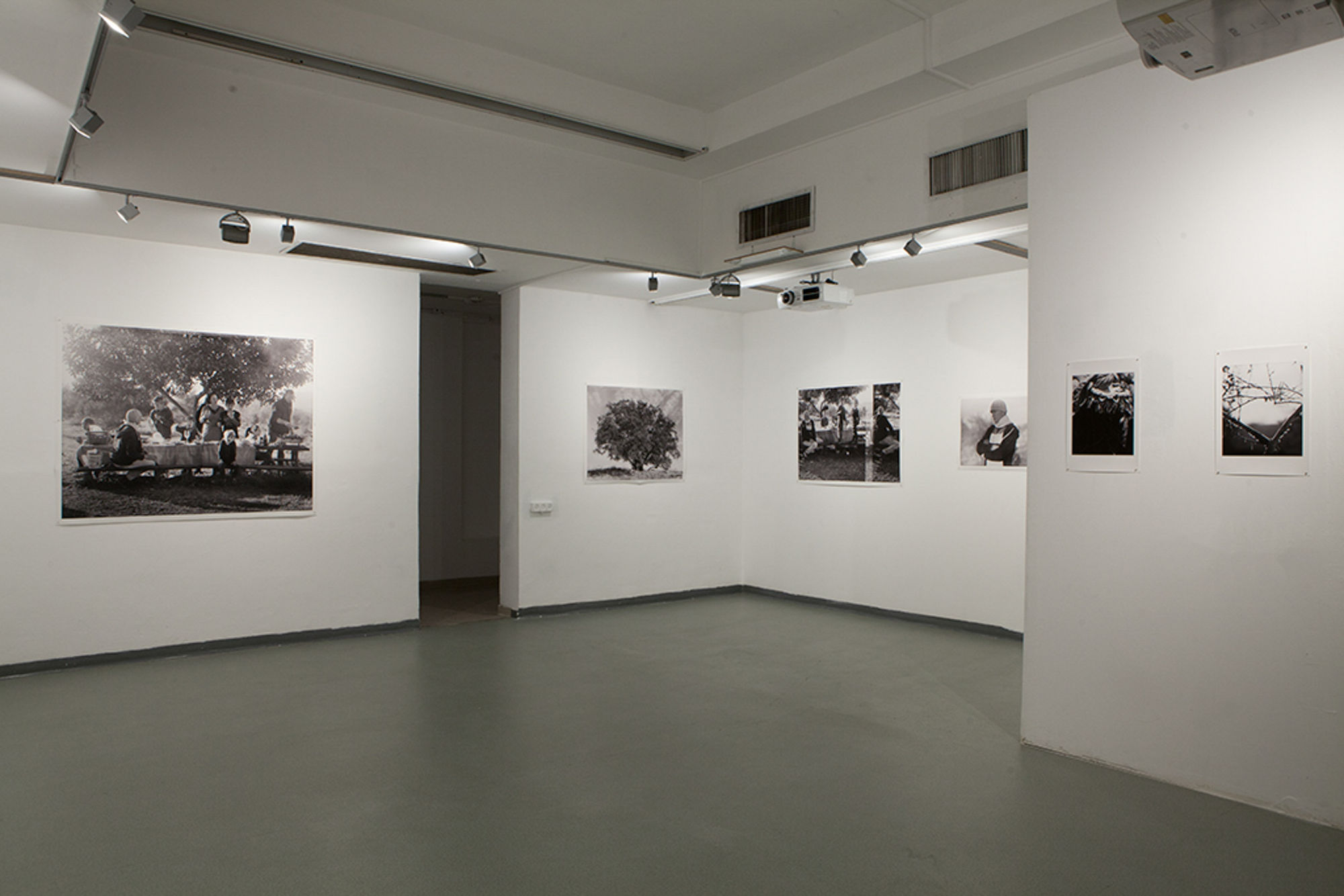 installation view