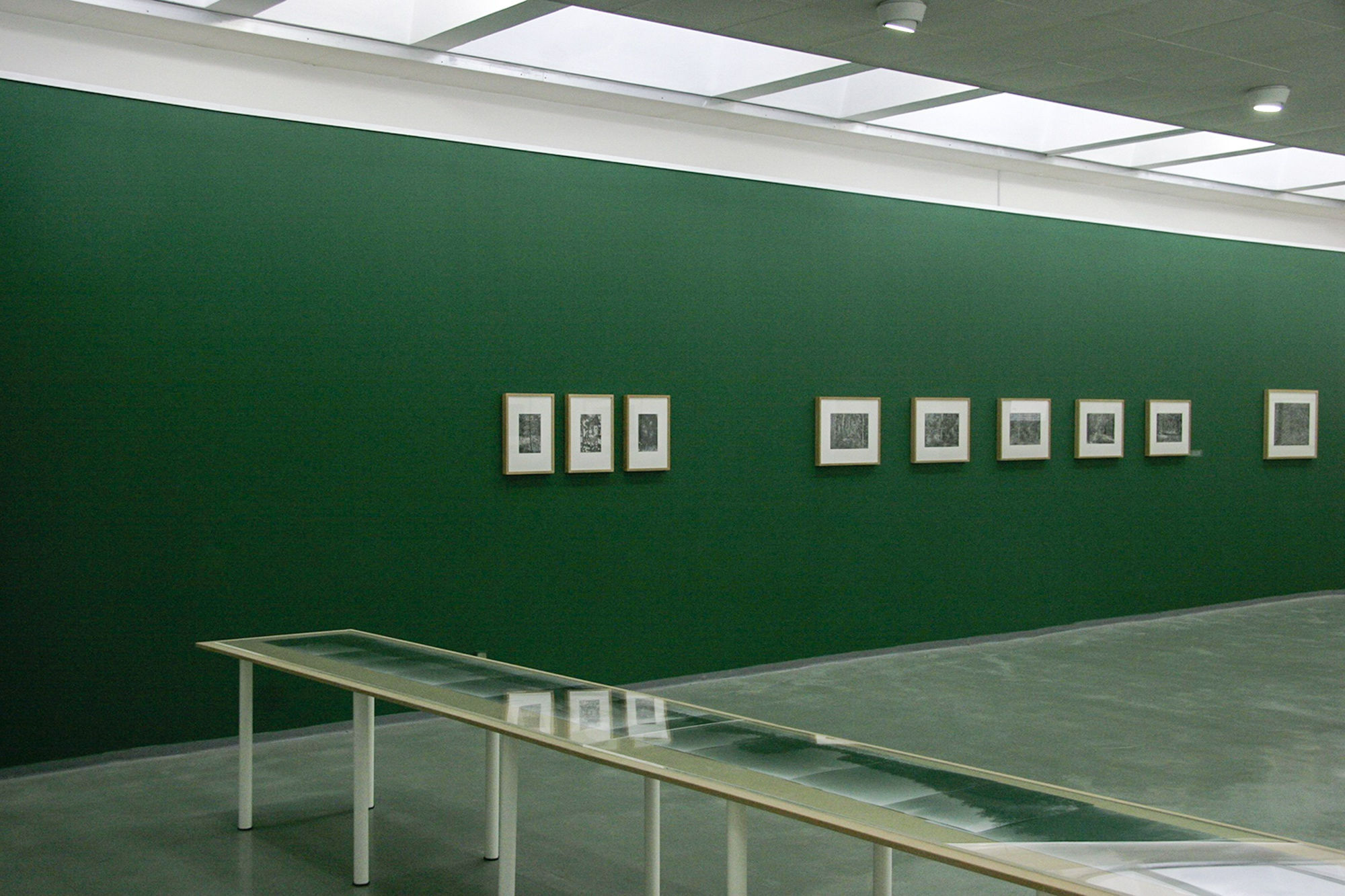 Ariel Yannay | Installation view: Black and White Forest | A long glass vitrine displaying archival documents and contact sheets below a row of framed forest studies on a green wall.