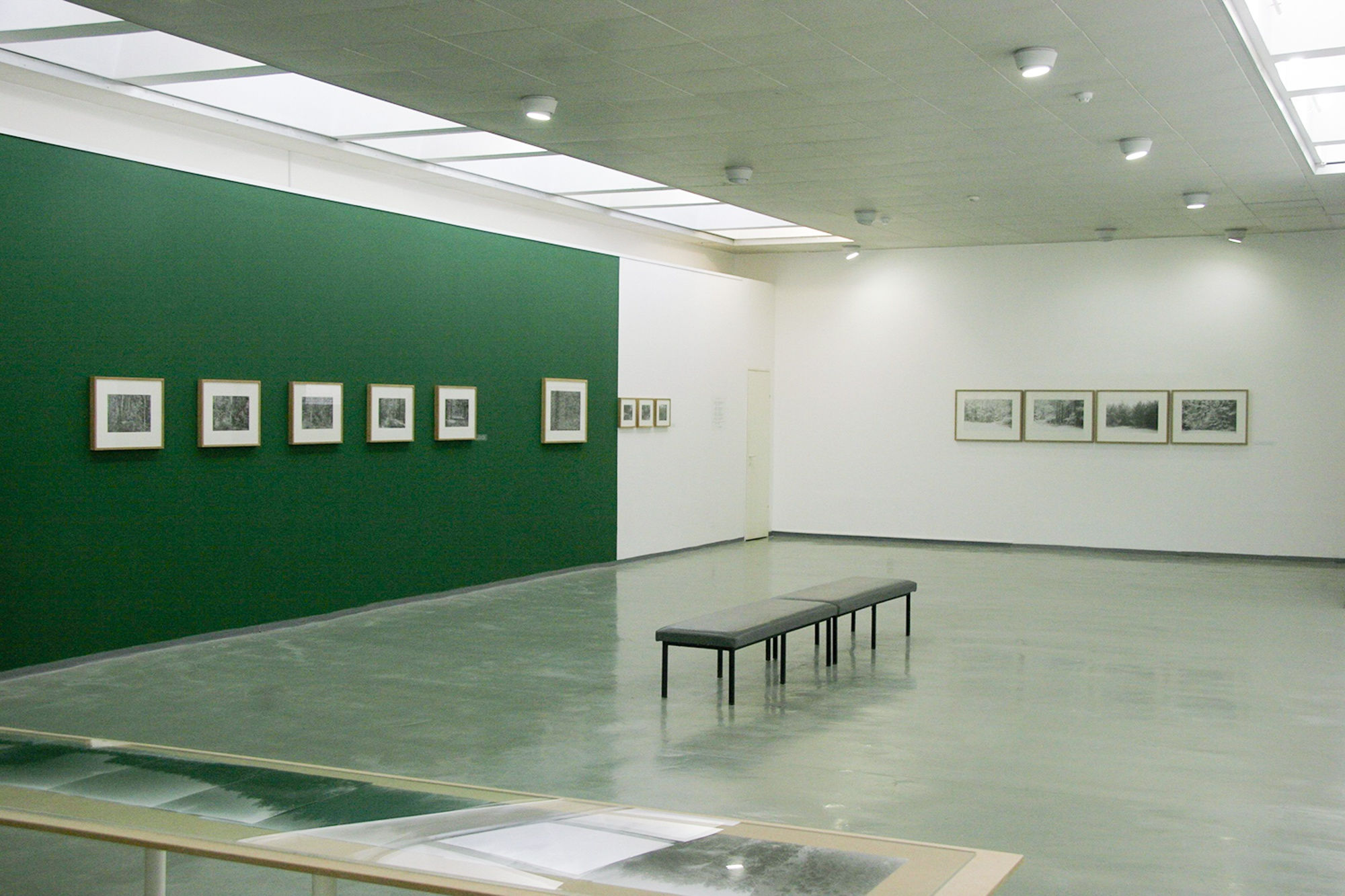 Ariel Yannay | Installation view: Black and White Forest | A long glass vitrine displaying archival documents and contact sheets below a row of framed forest studies on a green wall.