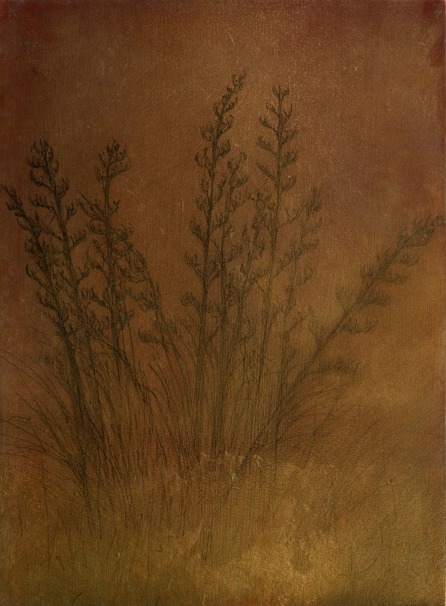 Aroha Gossage, Harakeke, 2025