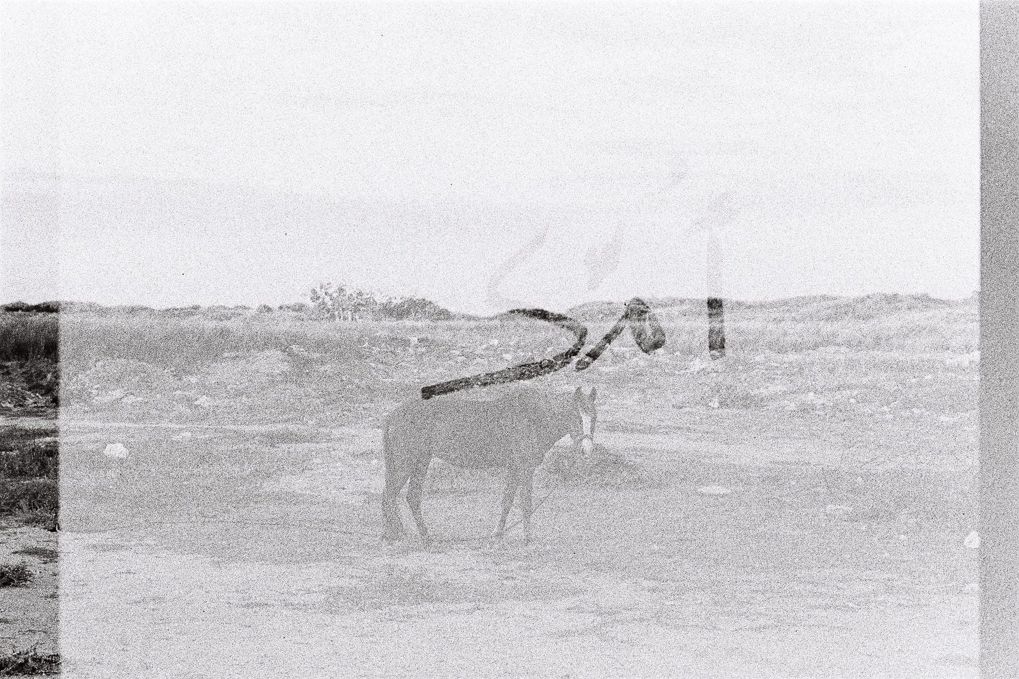 Fakhri El Ghezal, Chott Maria 1, 2014