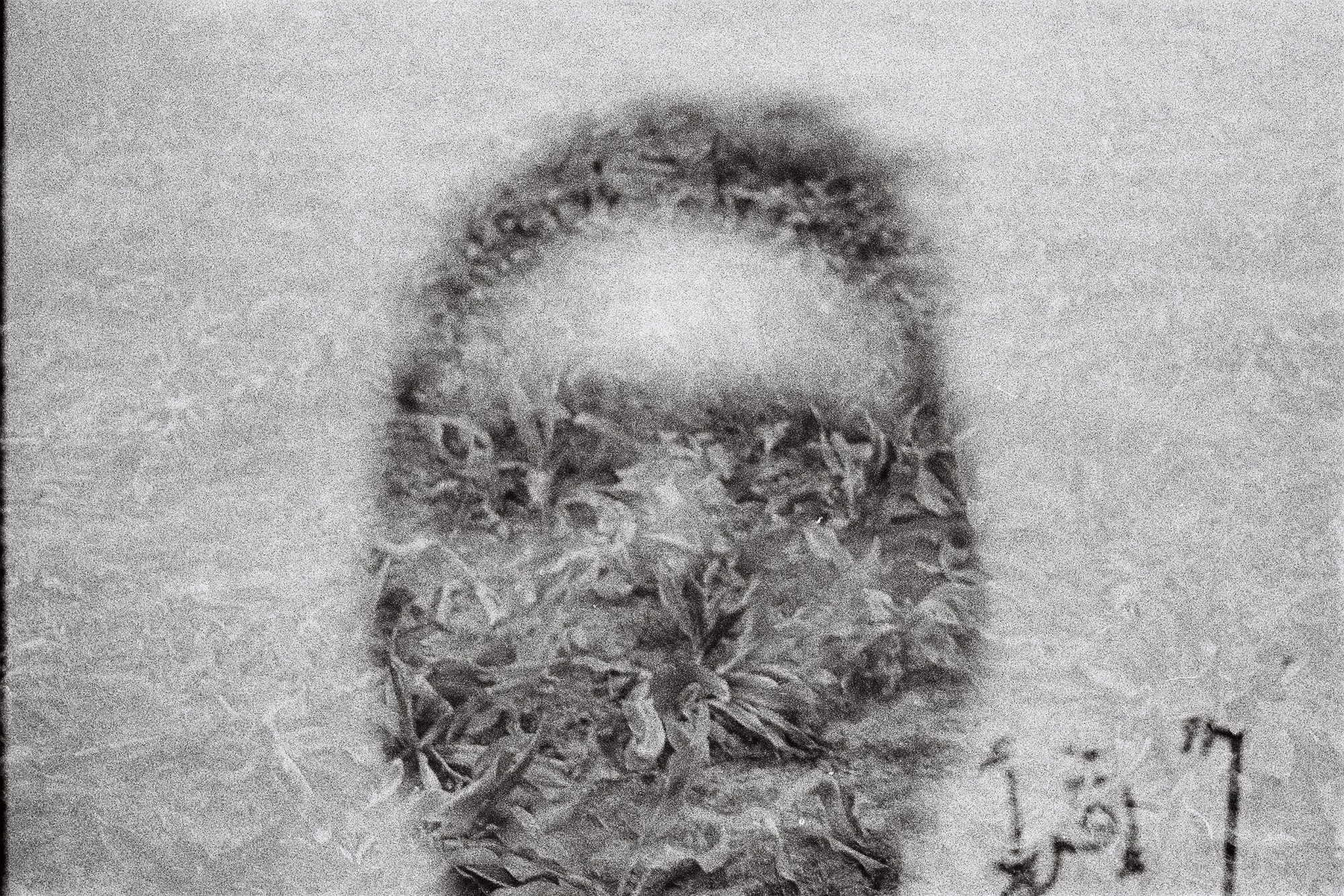 Fakhri El Ghezal, Chott Maria 4, 2014