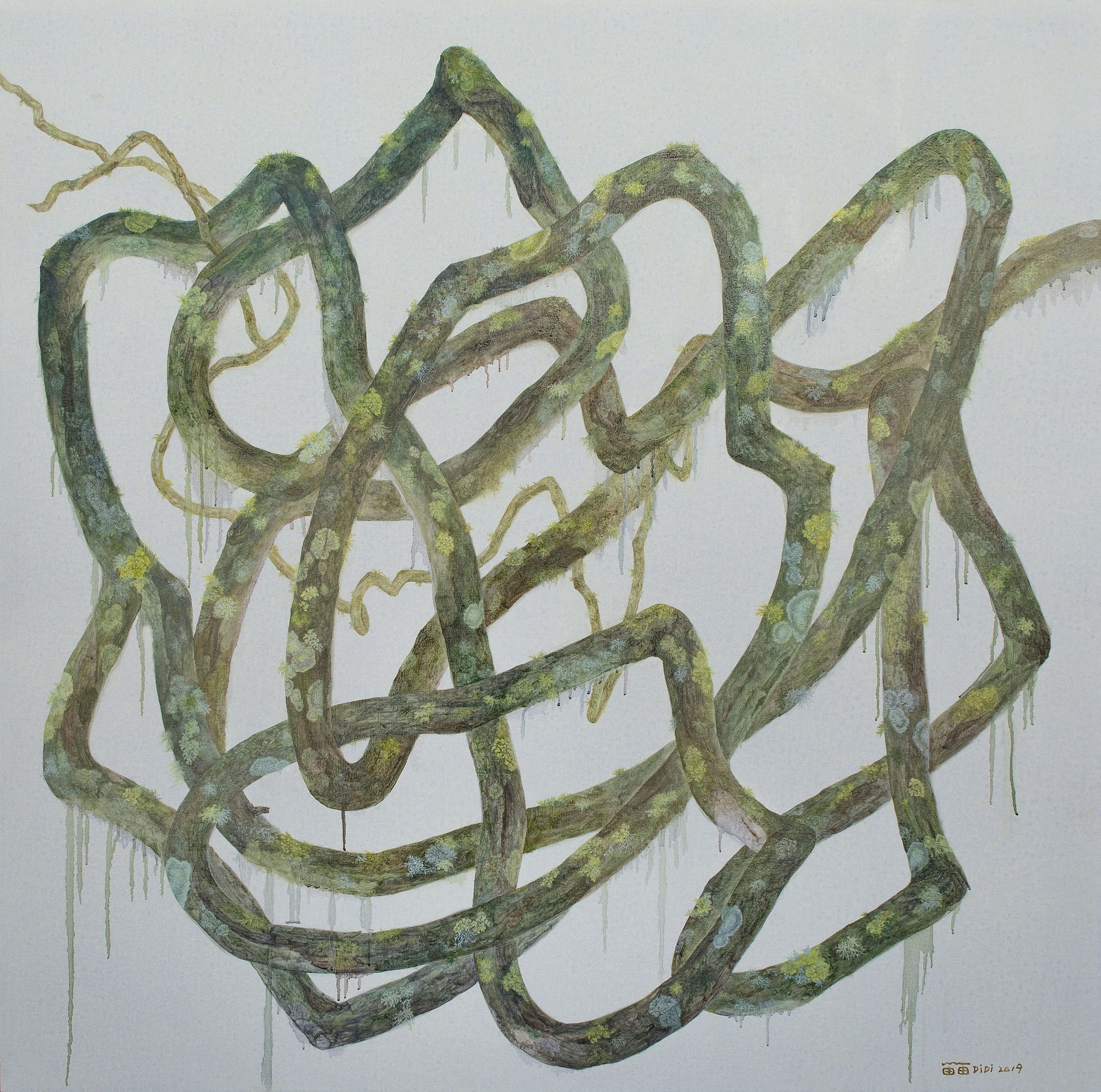 Wu Didi Solo Exhibition