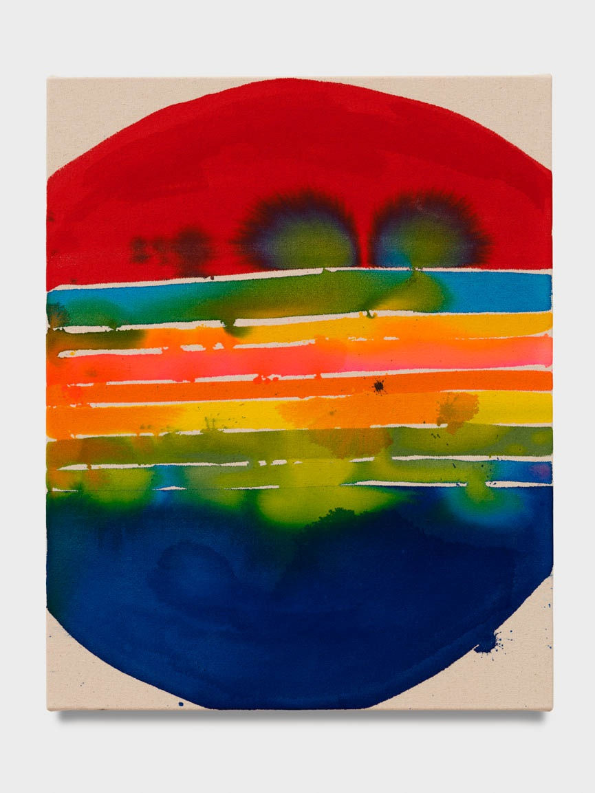 Liz Markus Robin, 2023 Acrylic on canvas 50.8 x 40.6 cm. 20 x 16 in.